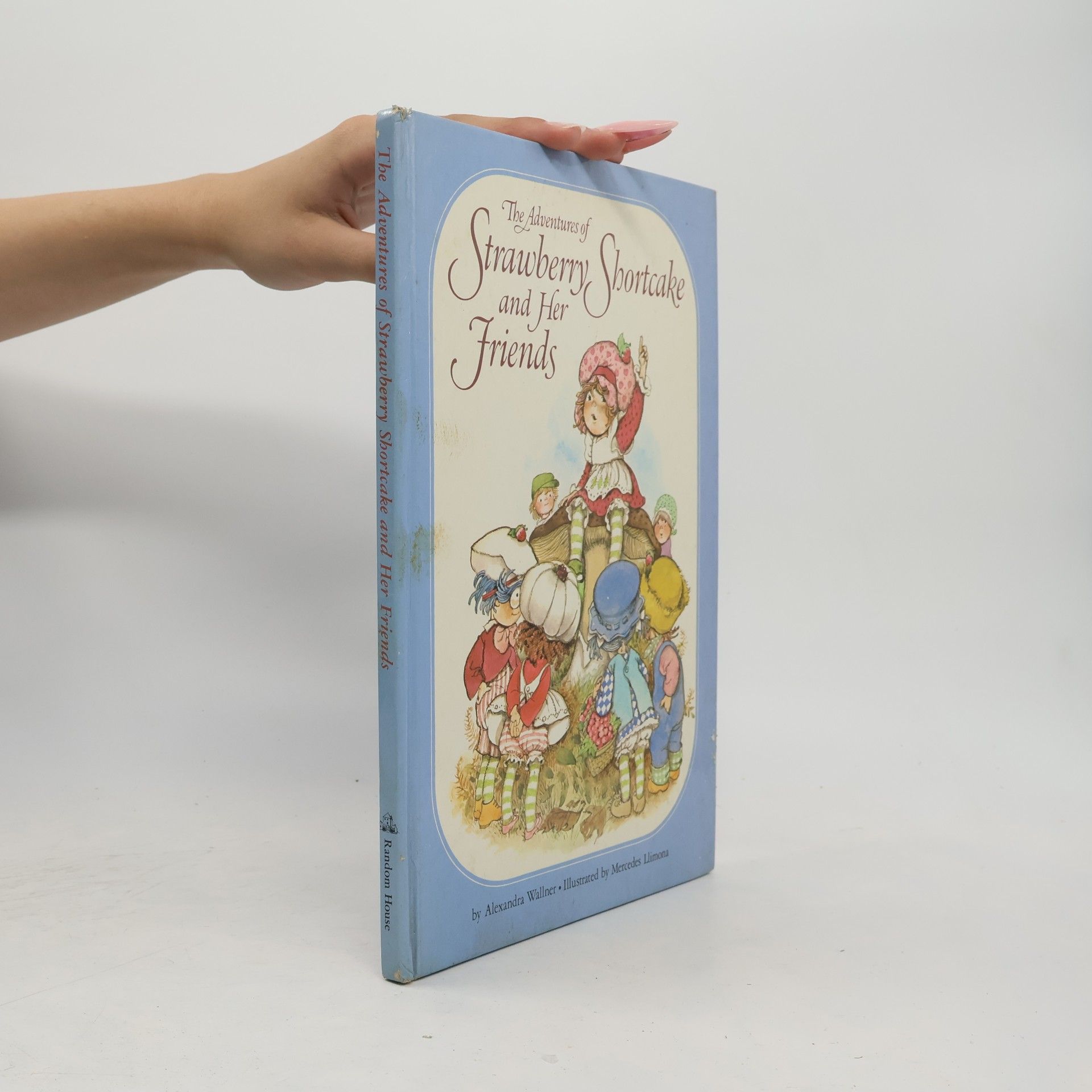 Alexandra Wallner The Adventures of Strawberry Shortcake and Her Friends