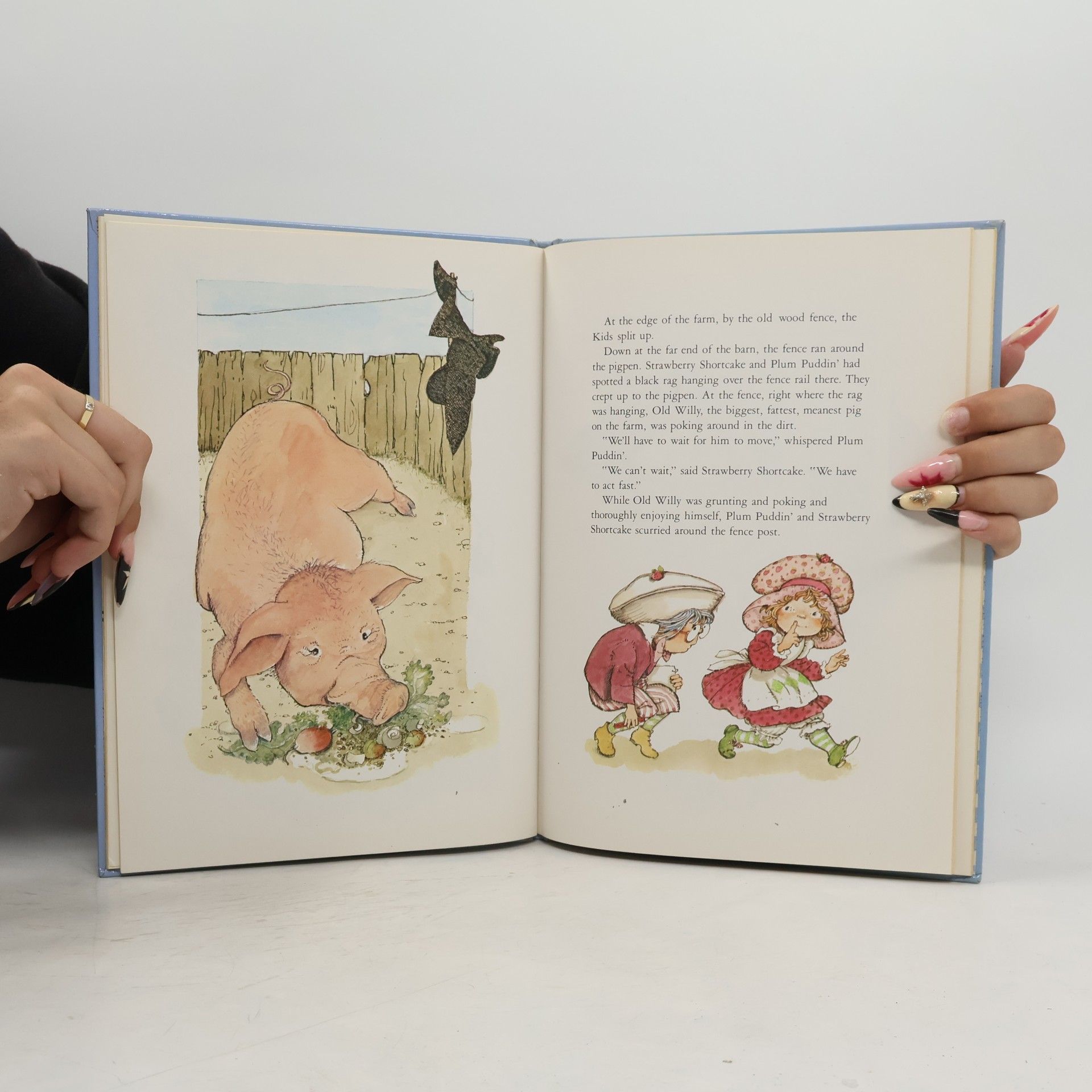 Alexandra Wallner The Adventures of Strawberry Shortcake and Her Friends