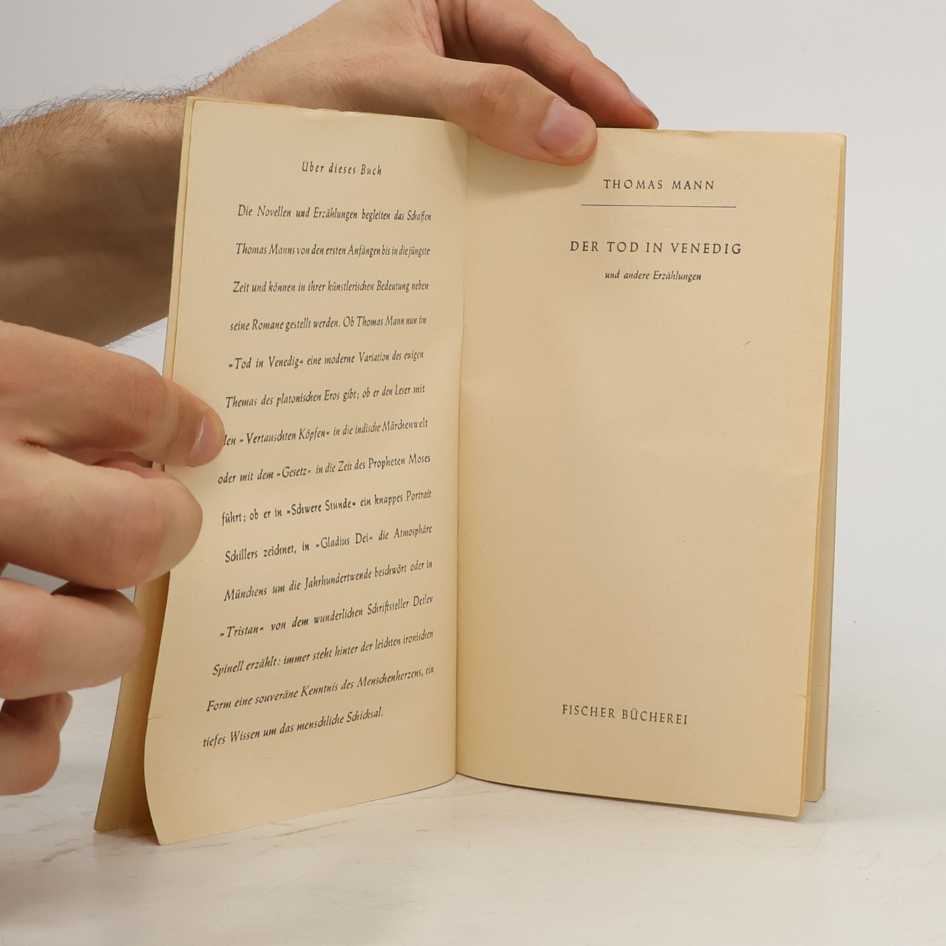 Thomas Mann Der Tod in Venedig