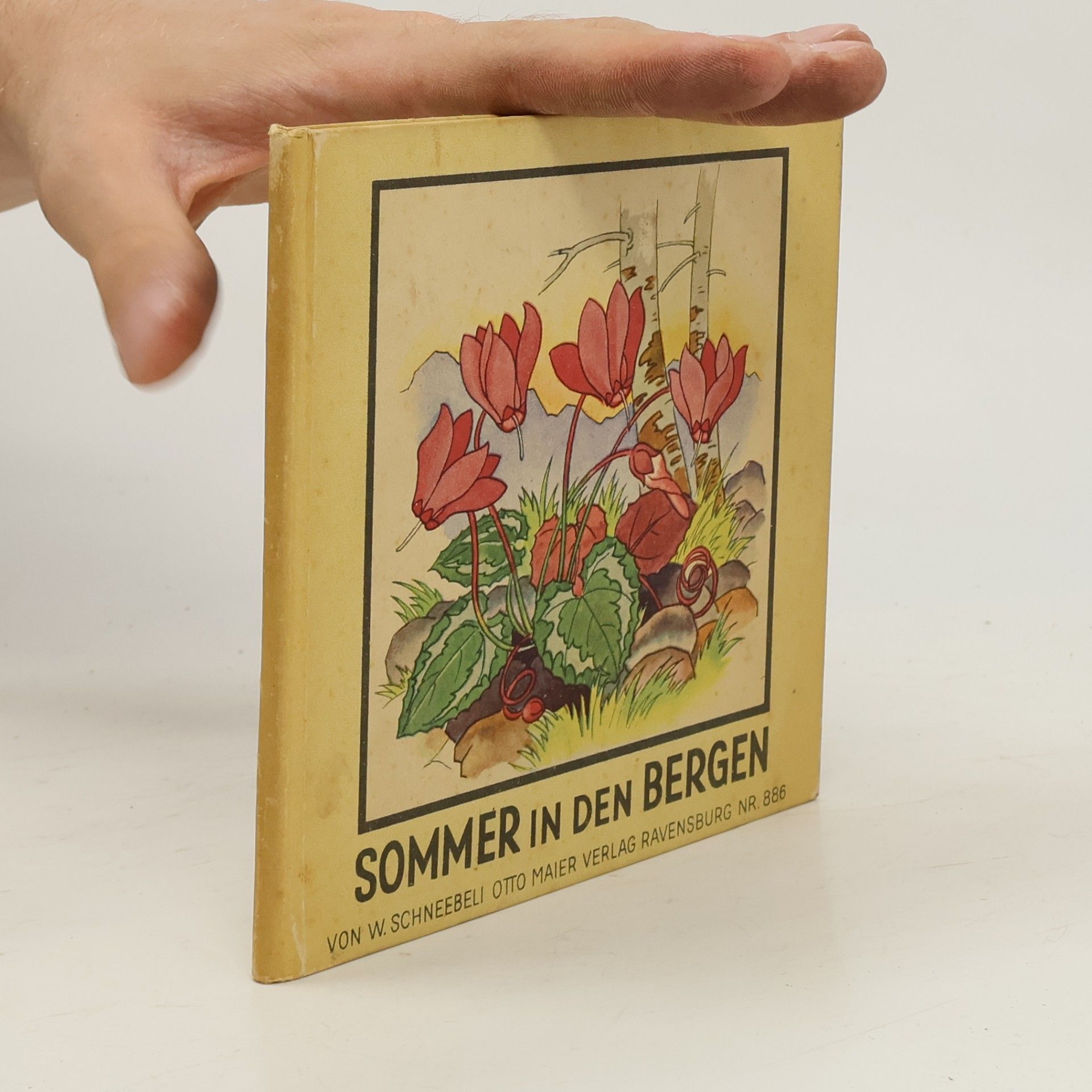 Sommer in den Bergen