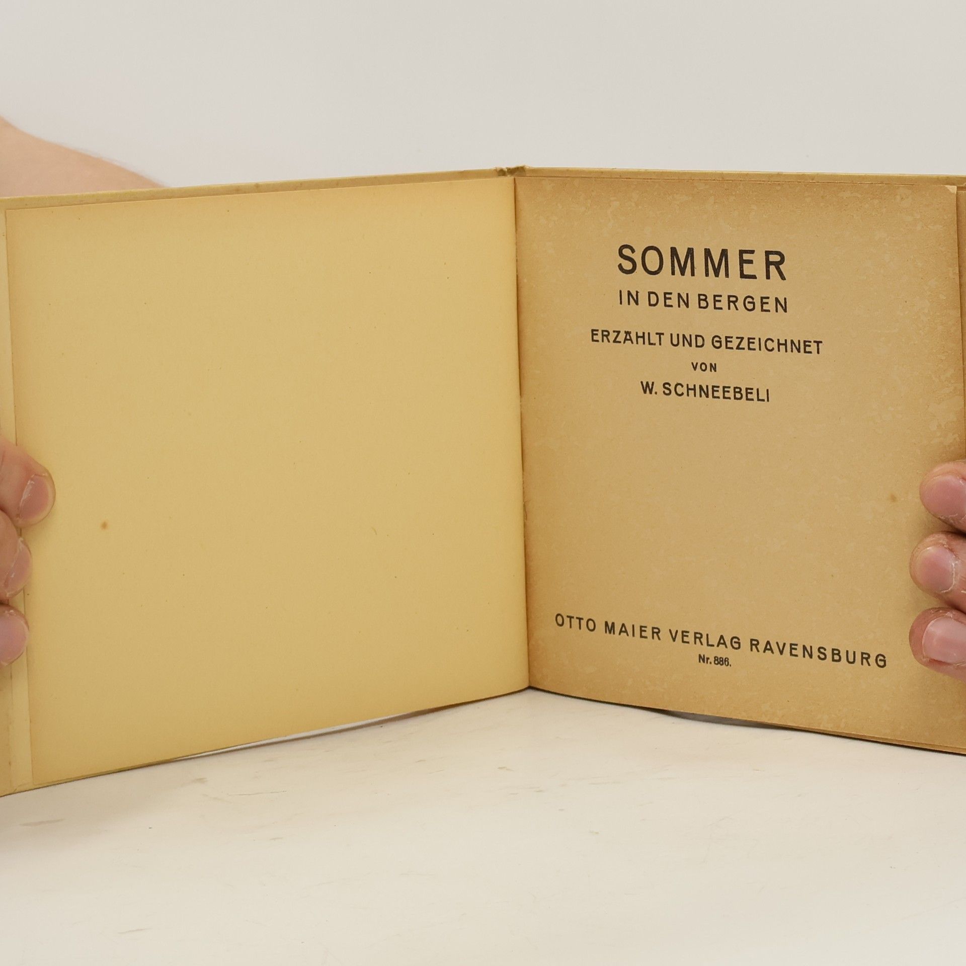 Schneebeli W. Sommer in den Bergen