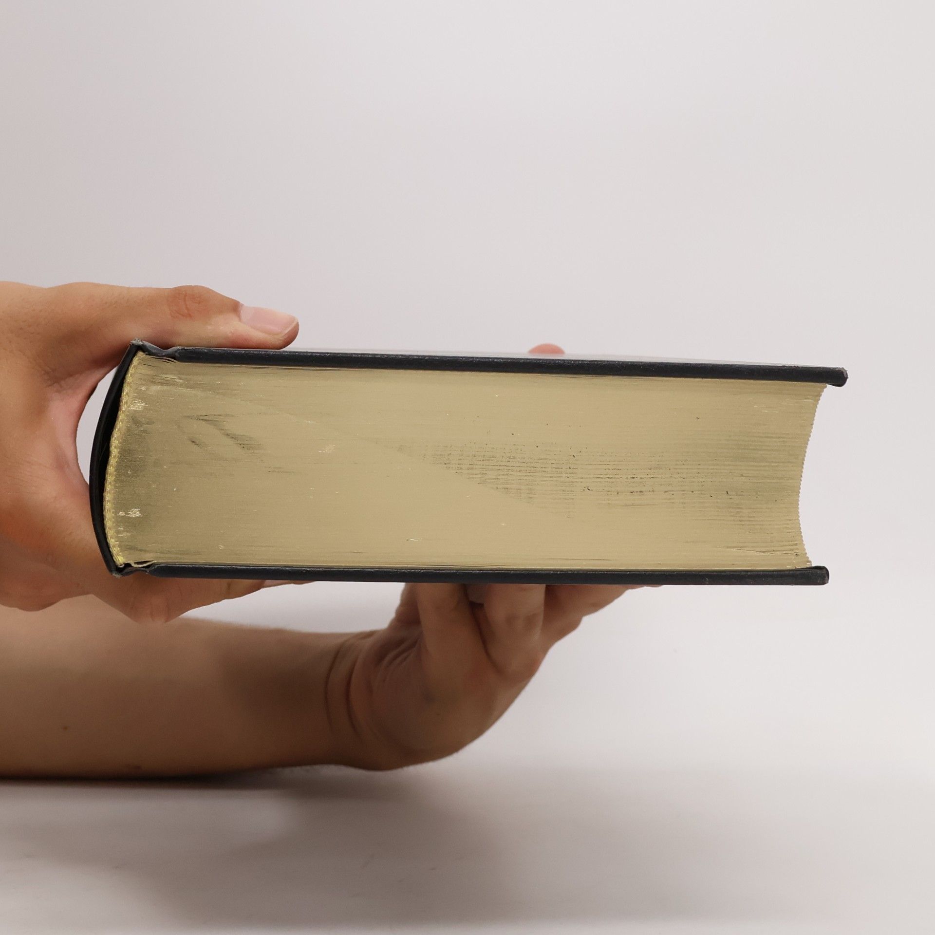 Collectif d'auteurs Brockhaus Enzyklopädie Band 19. Rut-Sch