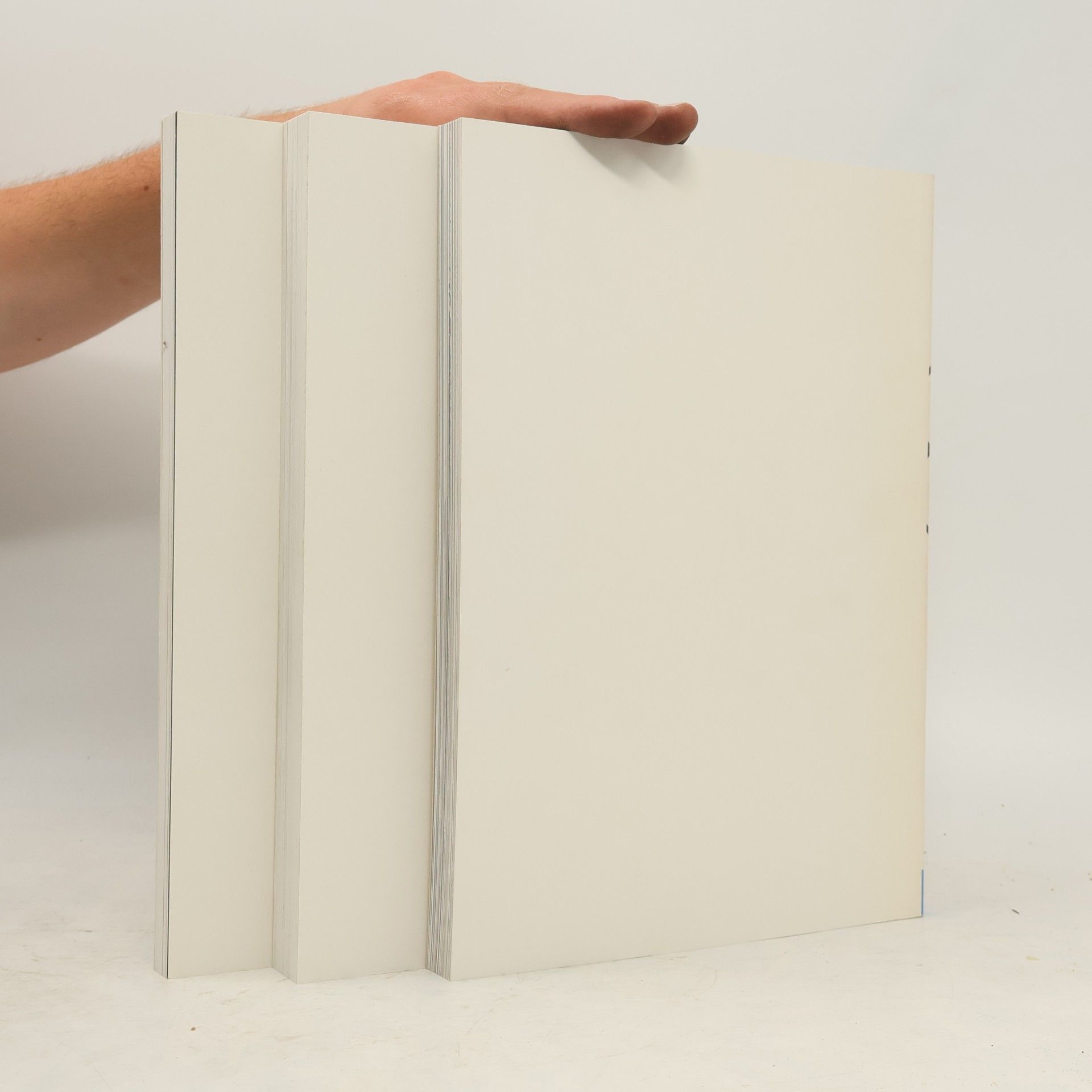 Kolektiv autorů Ausstellungskatalog zur Documenta 8. Band I-III Katalog Künstlerbuch
