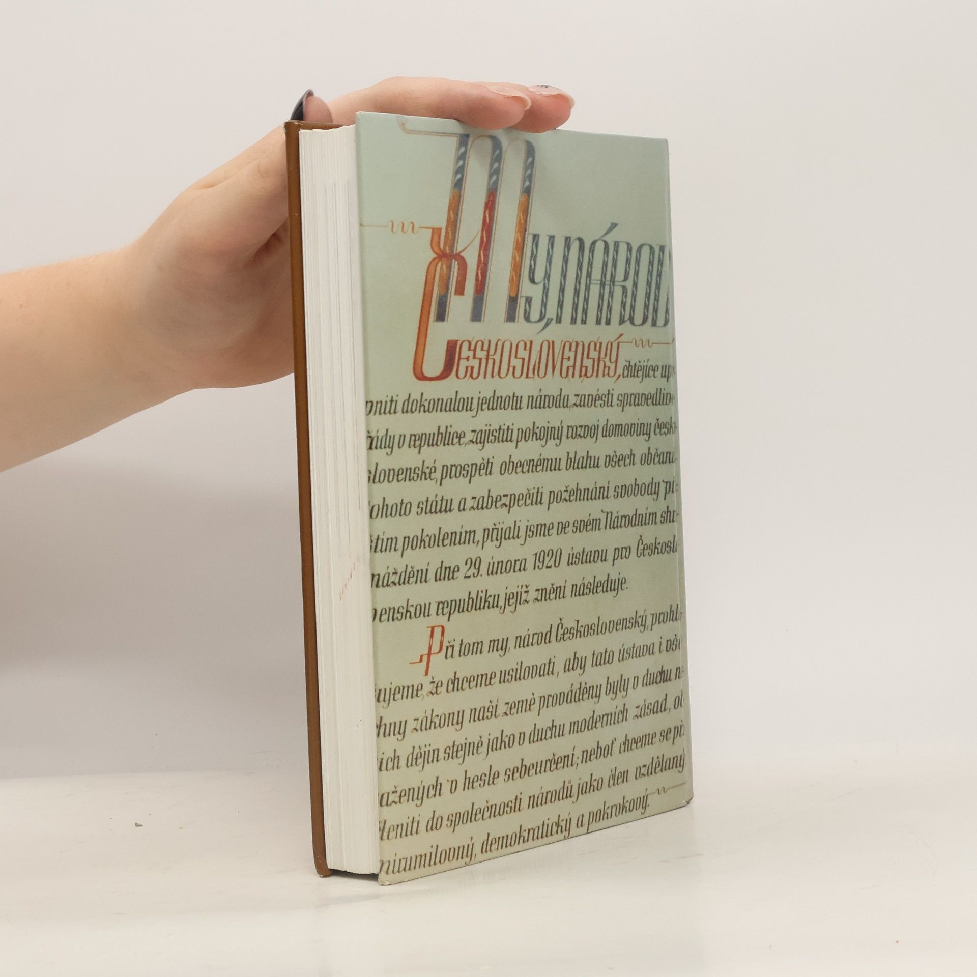 Autores varios Dějiny zemí Koruny české II.