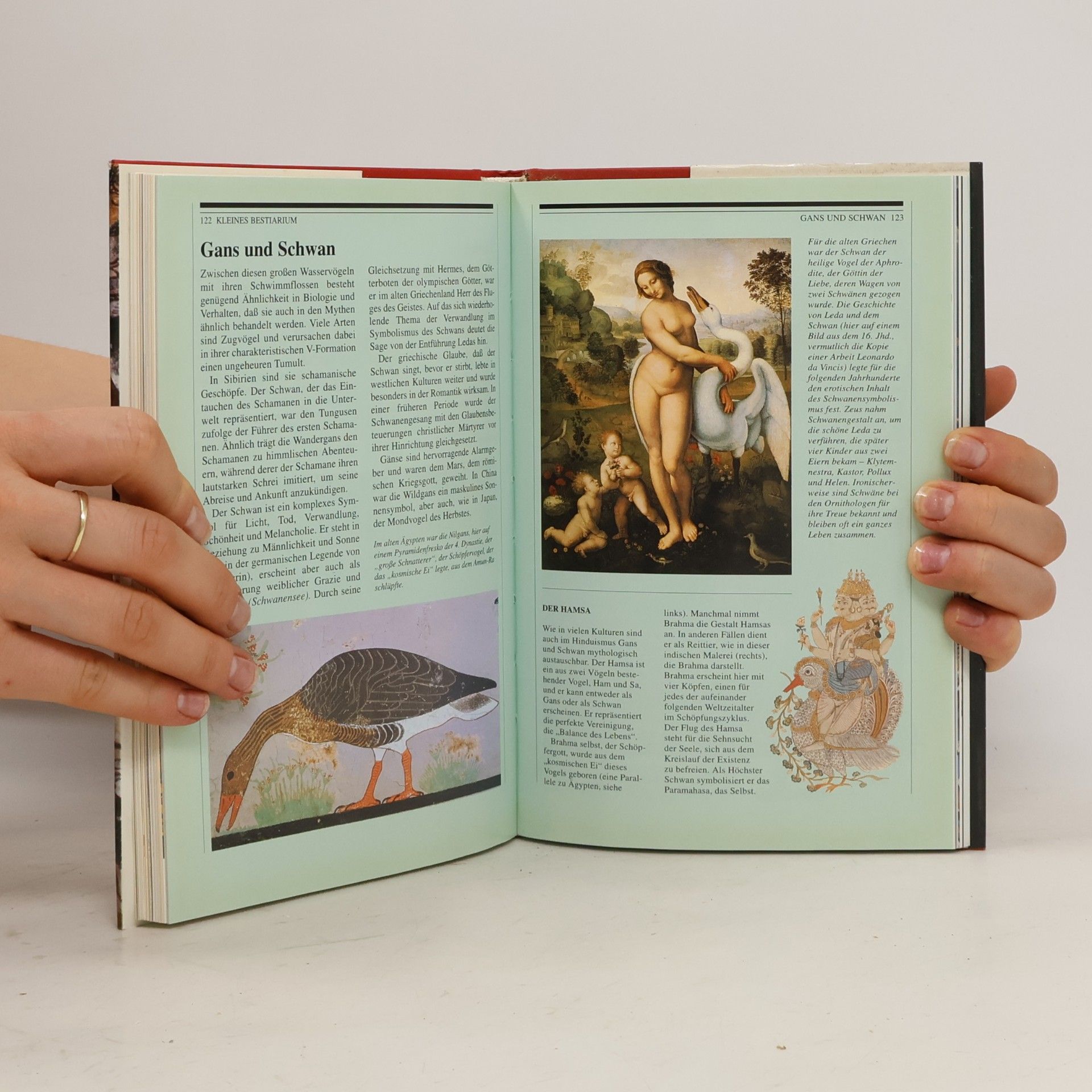 Nicholas J. Saunders Tiergeister. Seelenverwandte der Menschen, Symbole, Opfer und Rituale