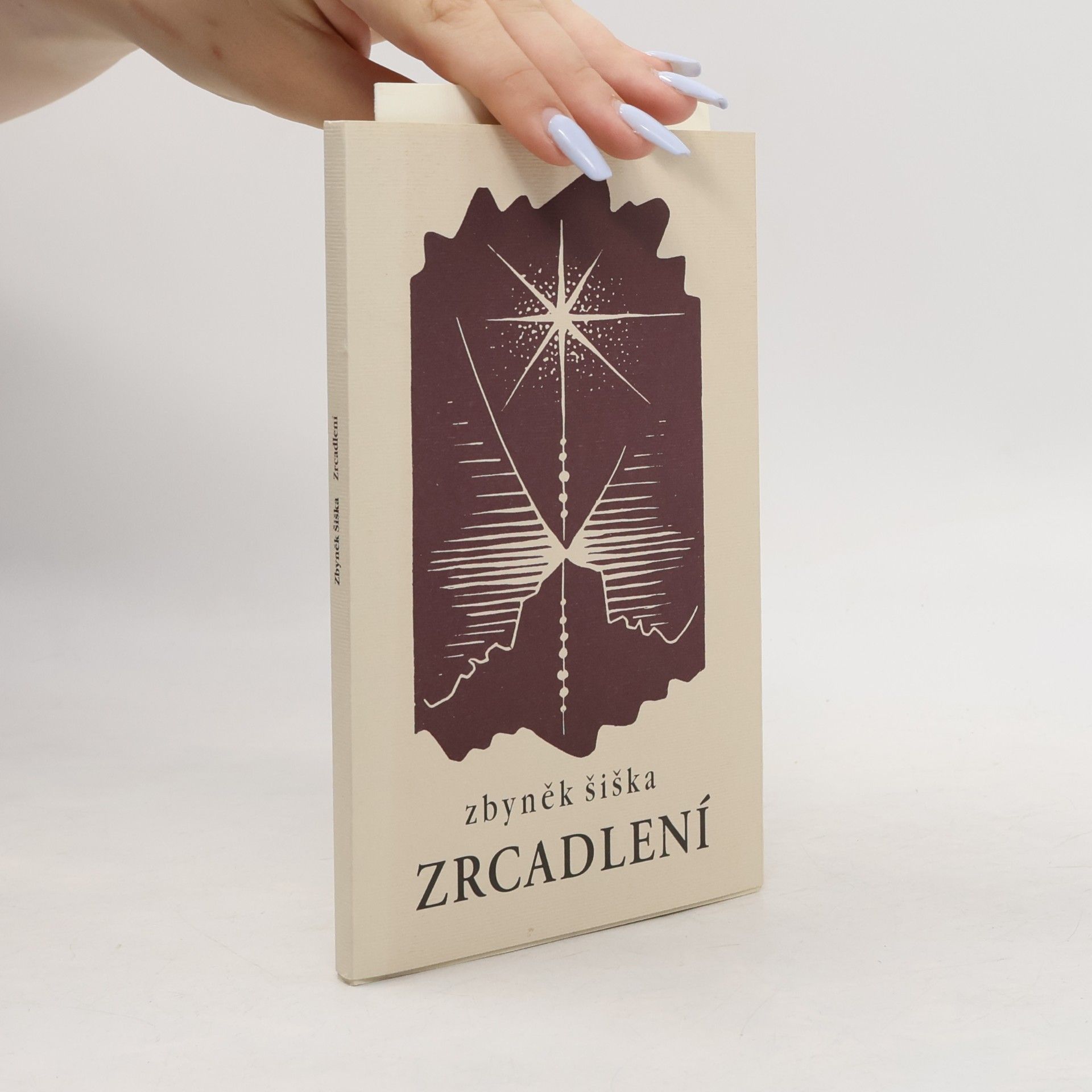 Ladislav Rusek Zrcadlení