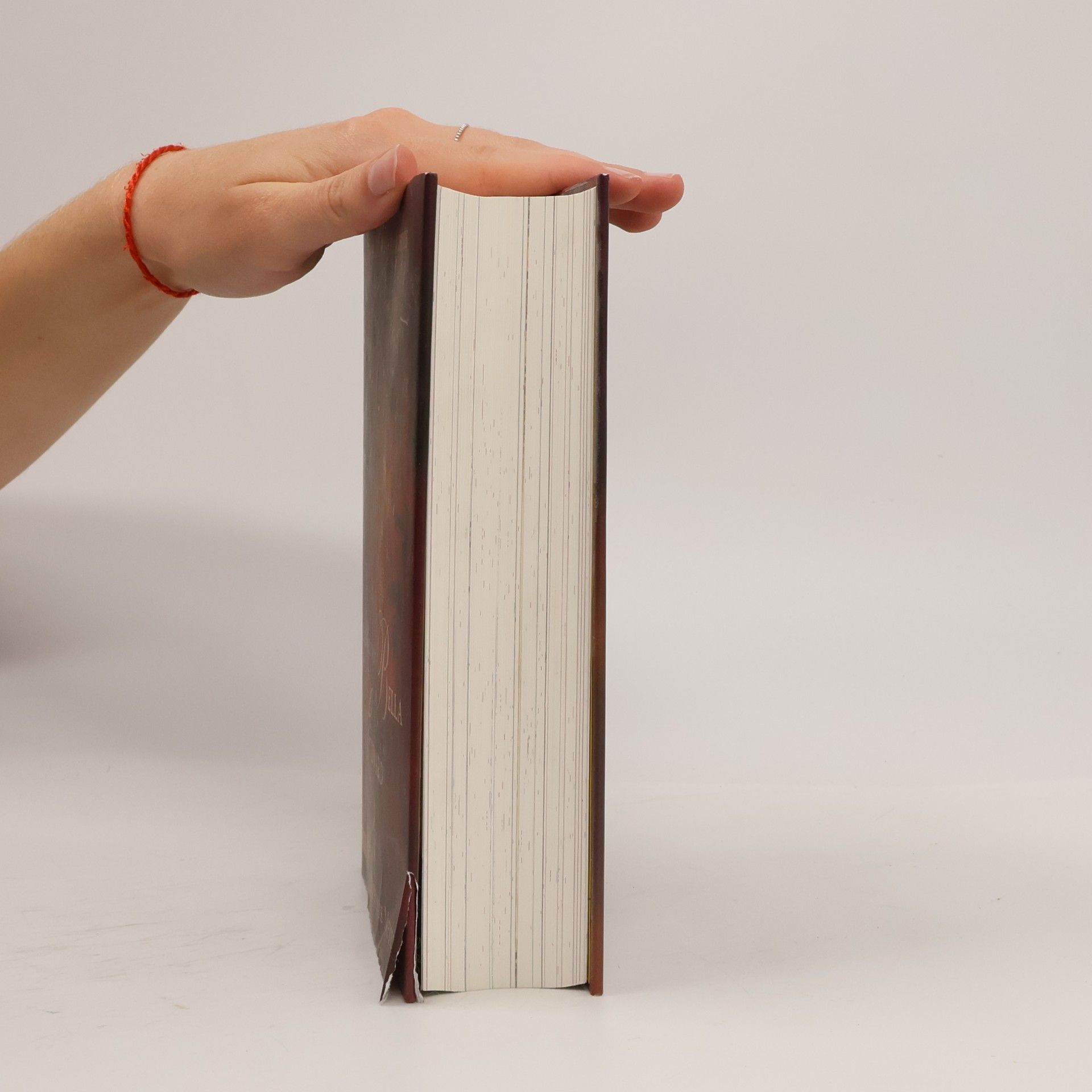 Stephenie Meyer Die Welt von Bella und Edward