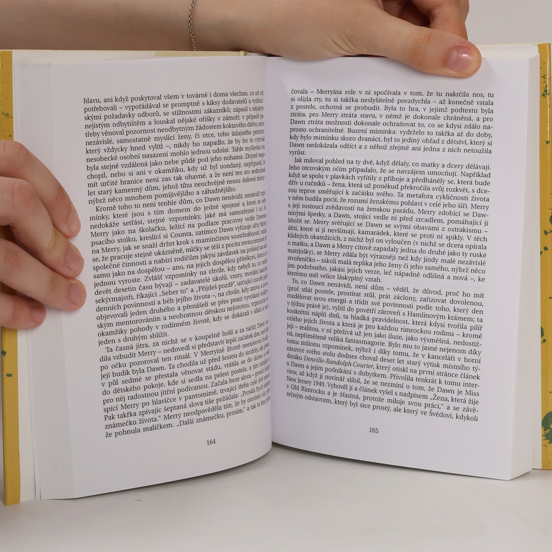 Philip Roth Americká idyla