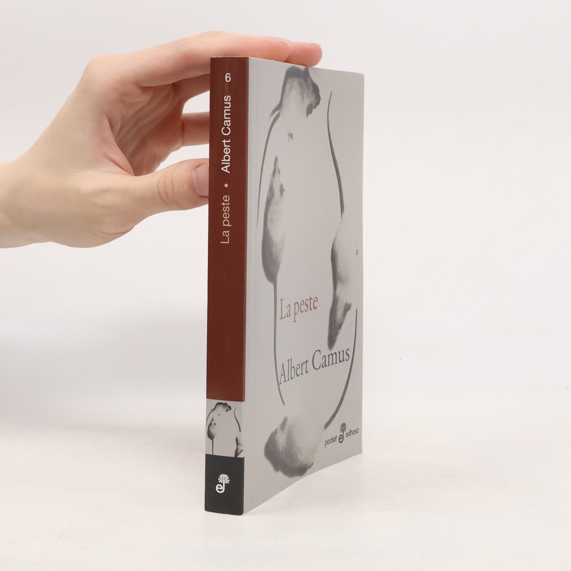 Rosa Chacel Pocket - 6: La peste