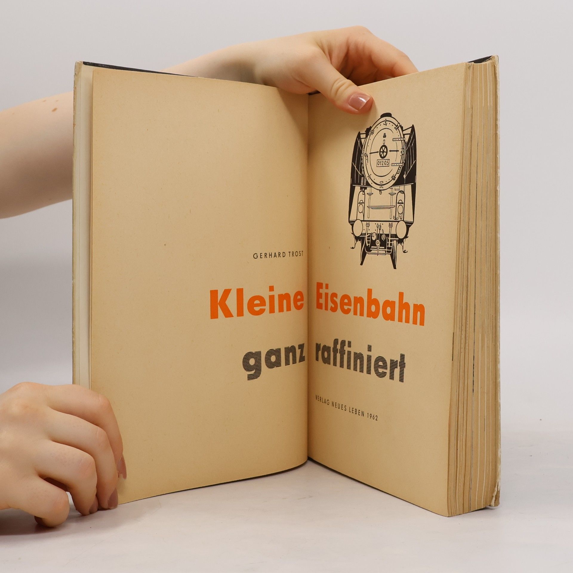 Gerhard Trost Kleine Eisenbahn ganz raffiniert