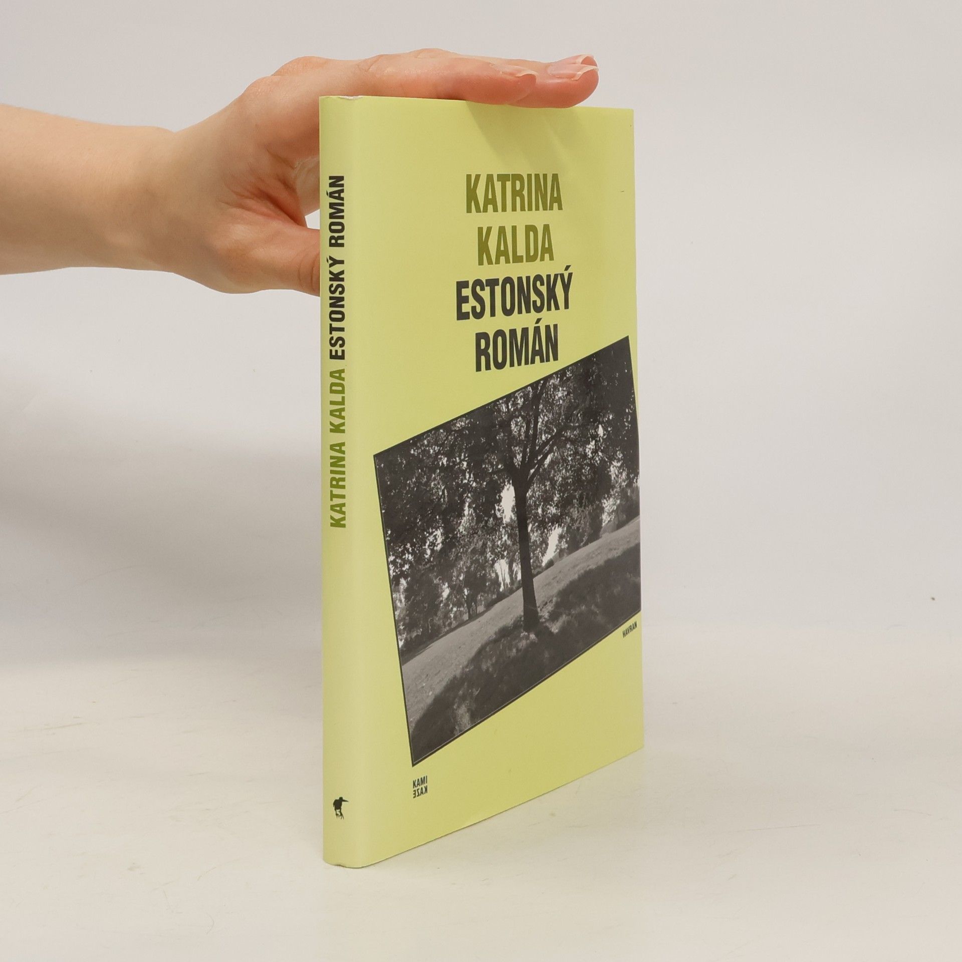 Katrina Kalda Estonský román