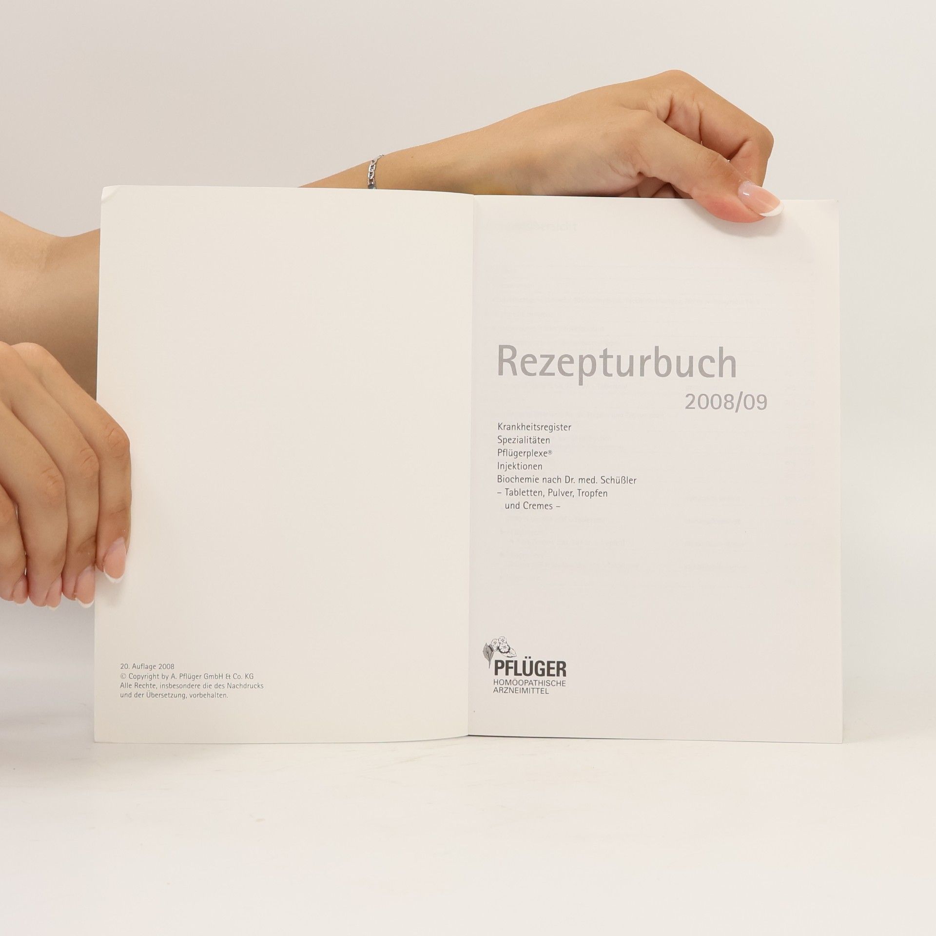 Autorenkollektiv Rezepturbuch 2008/2009