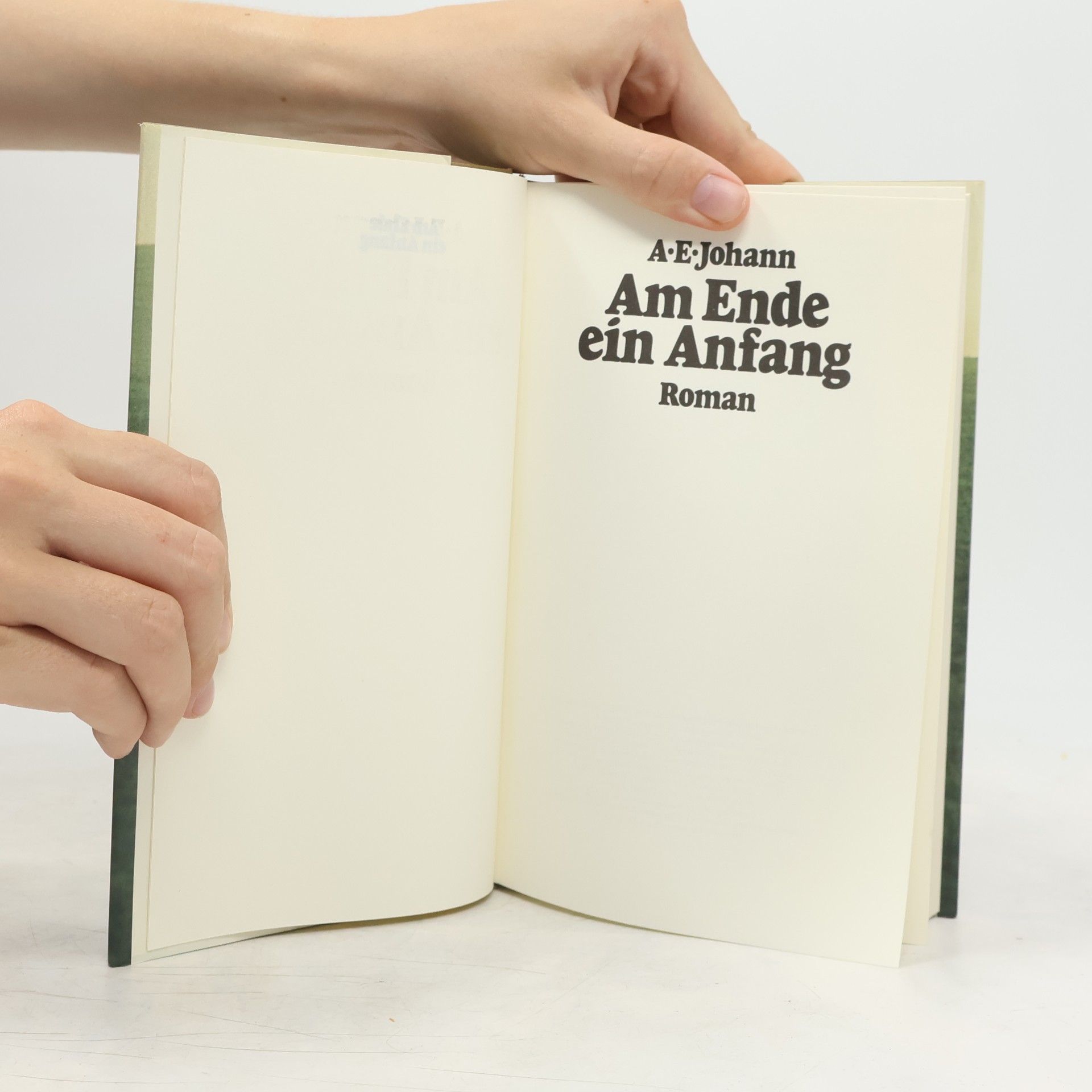 Alfred E. Johann Am Ende ein Anfang