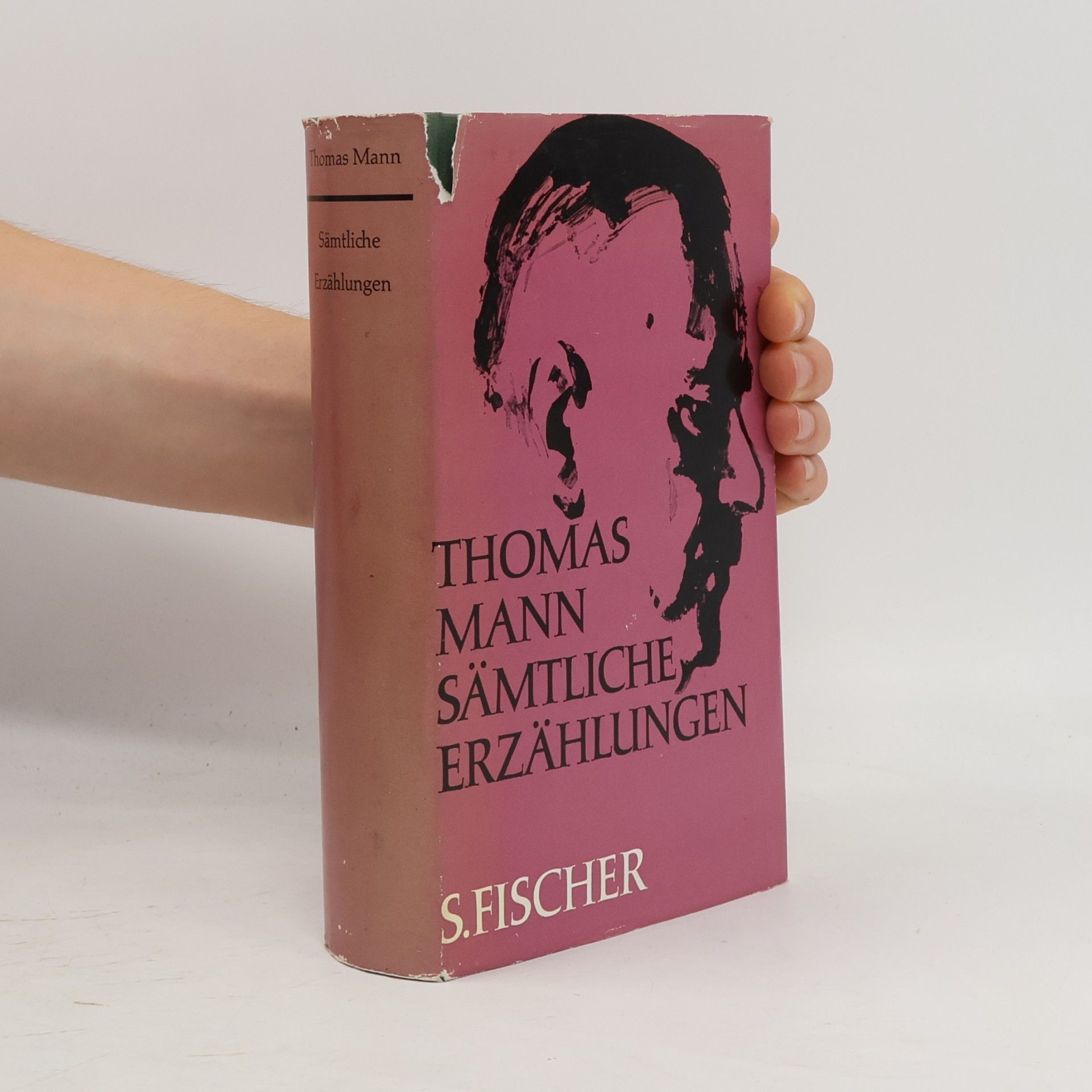 Thomas Mann Sämtliche Erzählungen