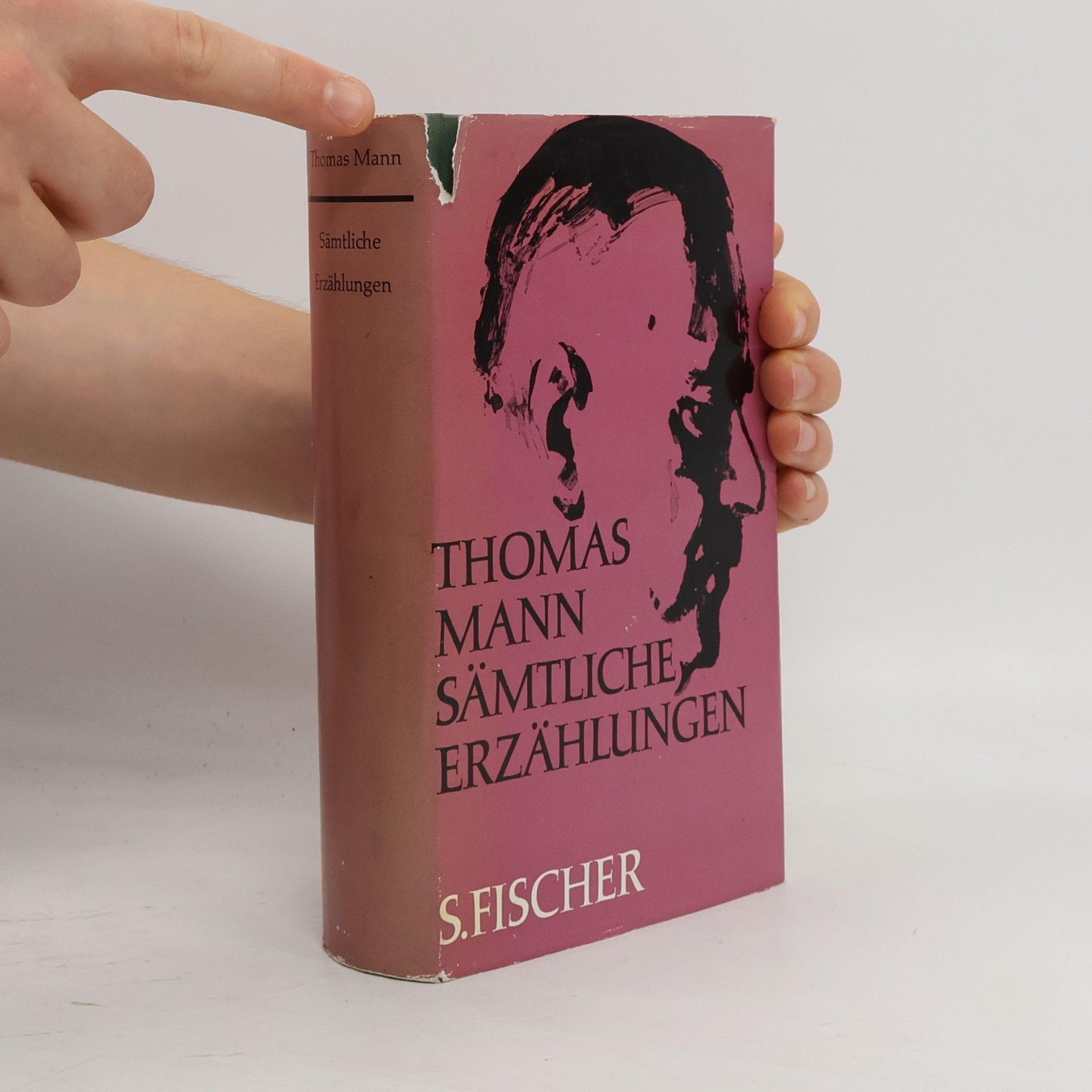 Thomas Mann Sämtliche Erzählungen