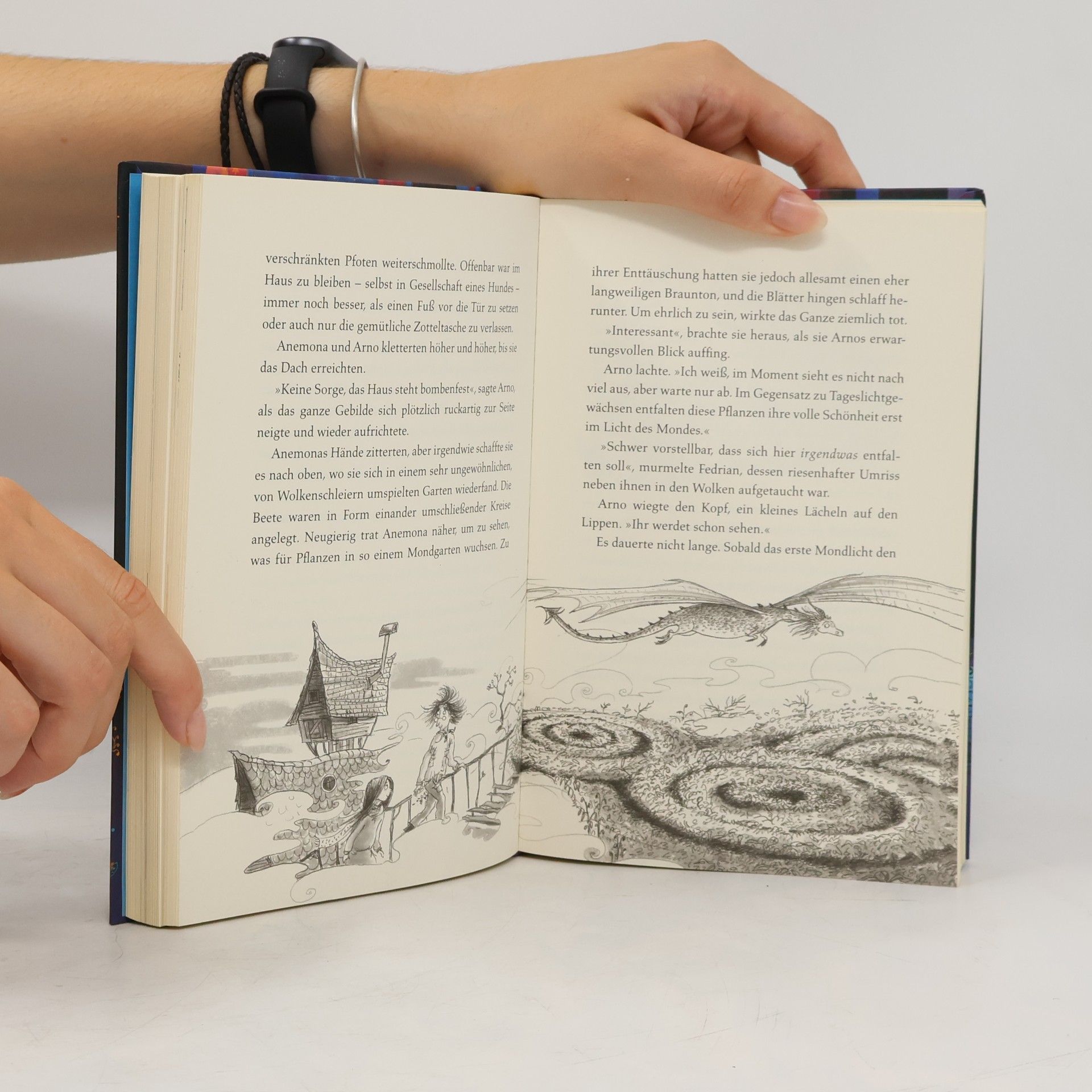 Dominique Valente Der Zauber von Immerda 1