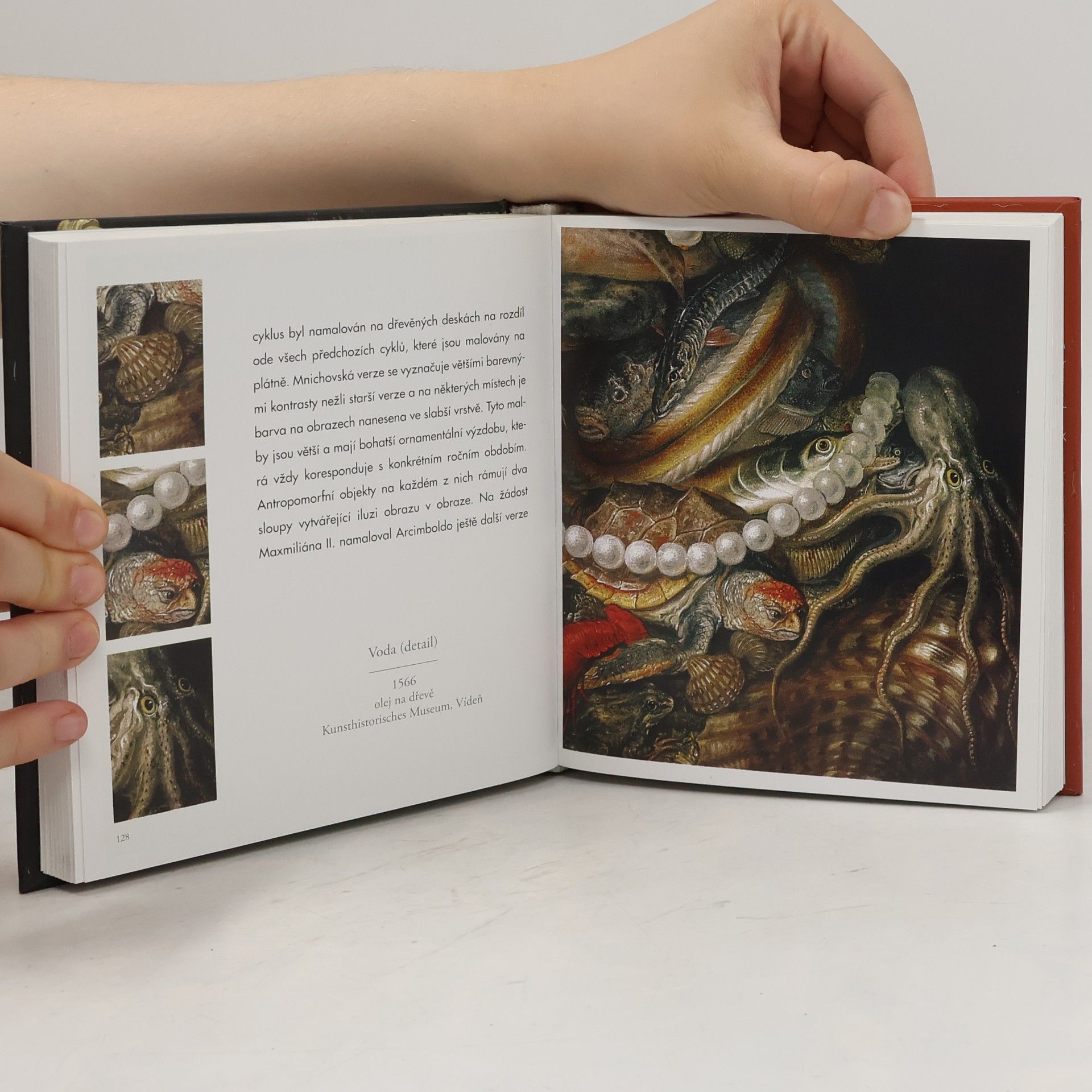 Liana Cheney Arcimboldo : 1527-1593
