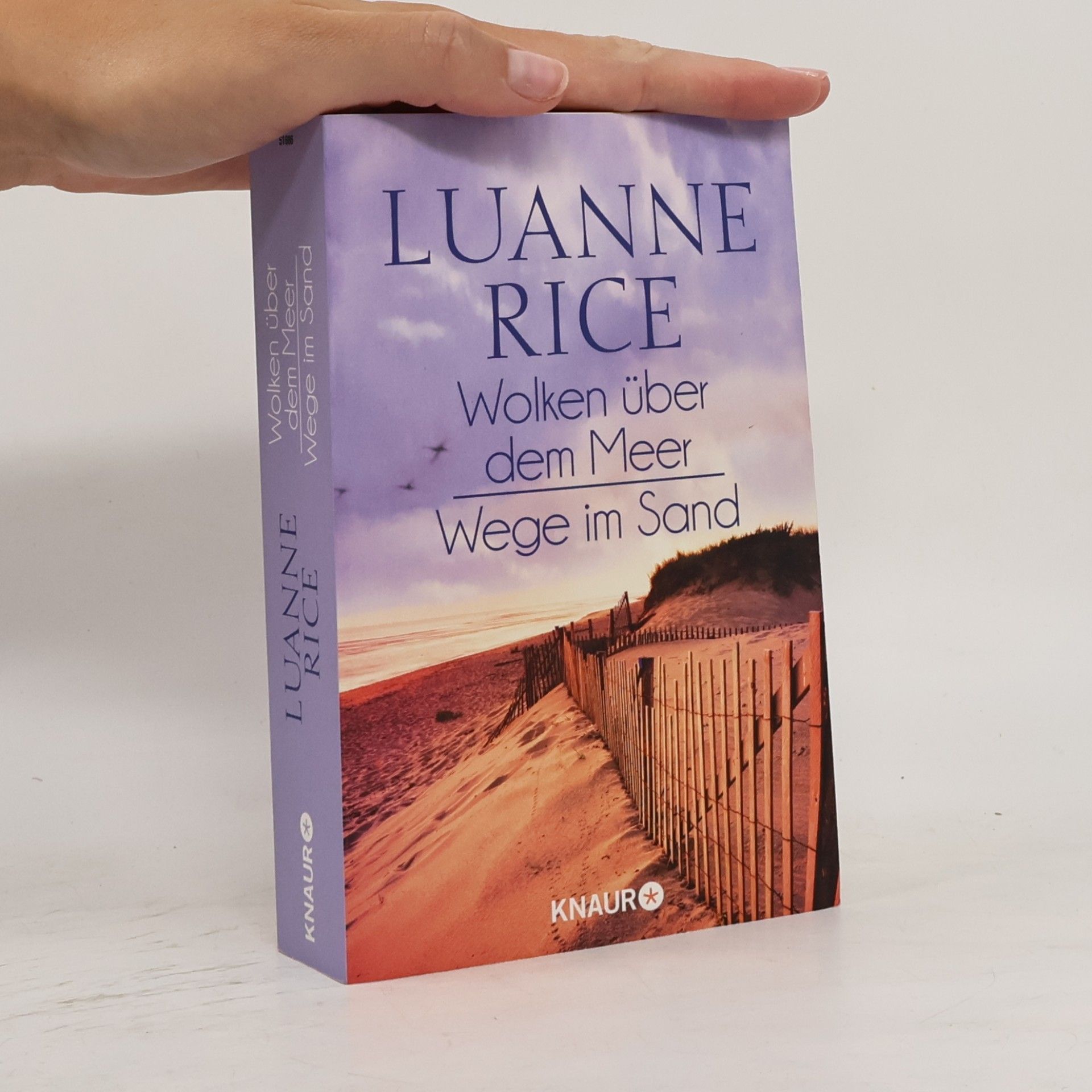 Luanne Rice Wolken über dem Meer