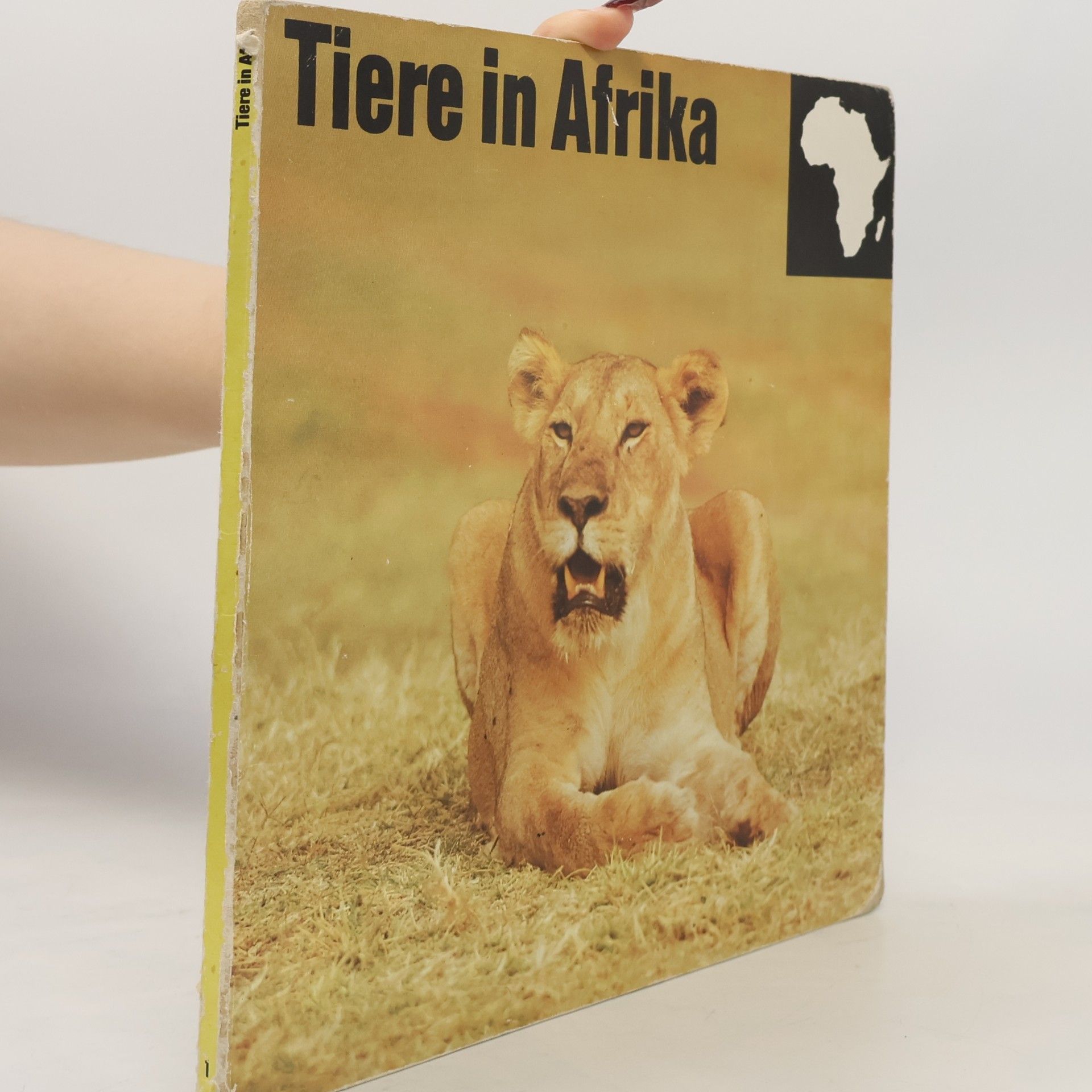 Collectif d'auteurs Tiere in Afrika