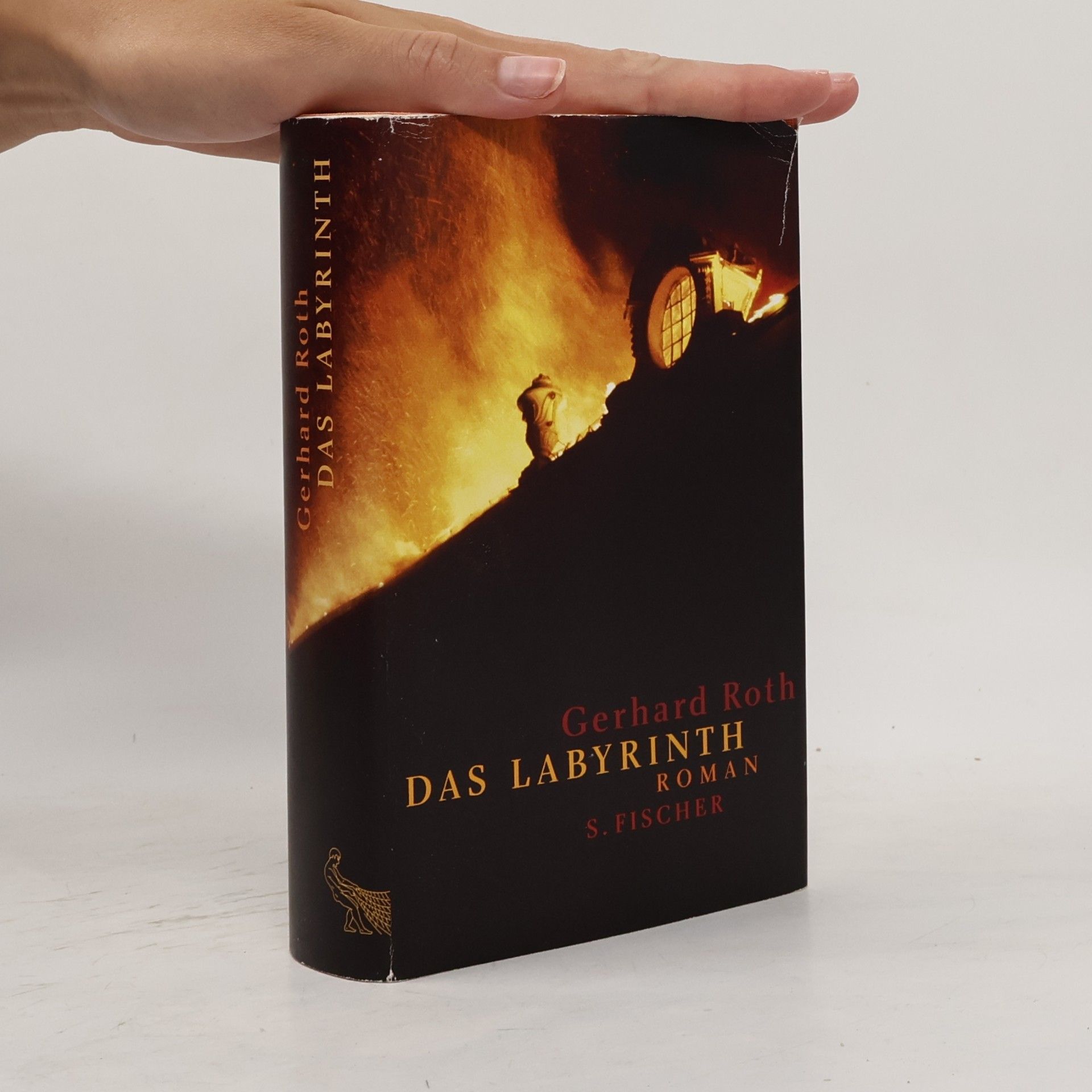 Gerhard Roth Das Labyrinth