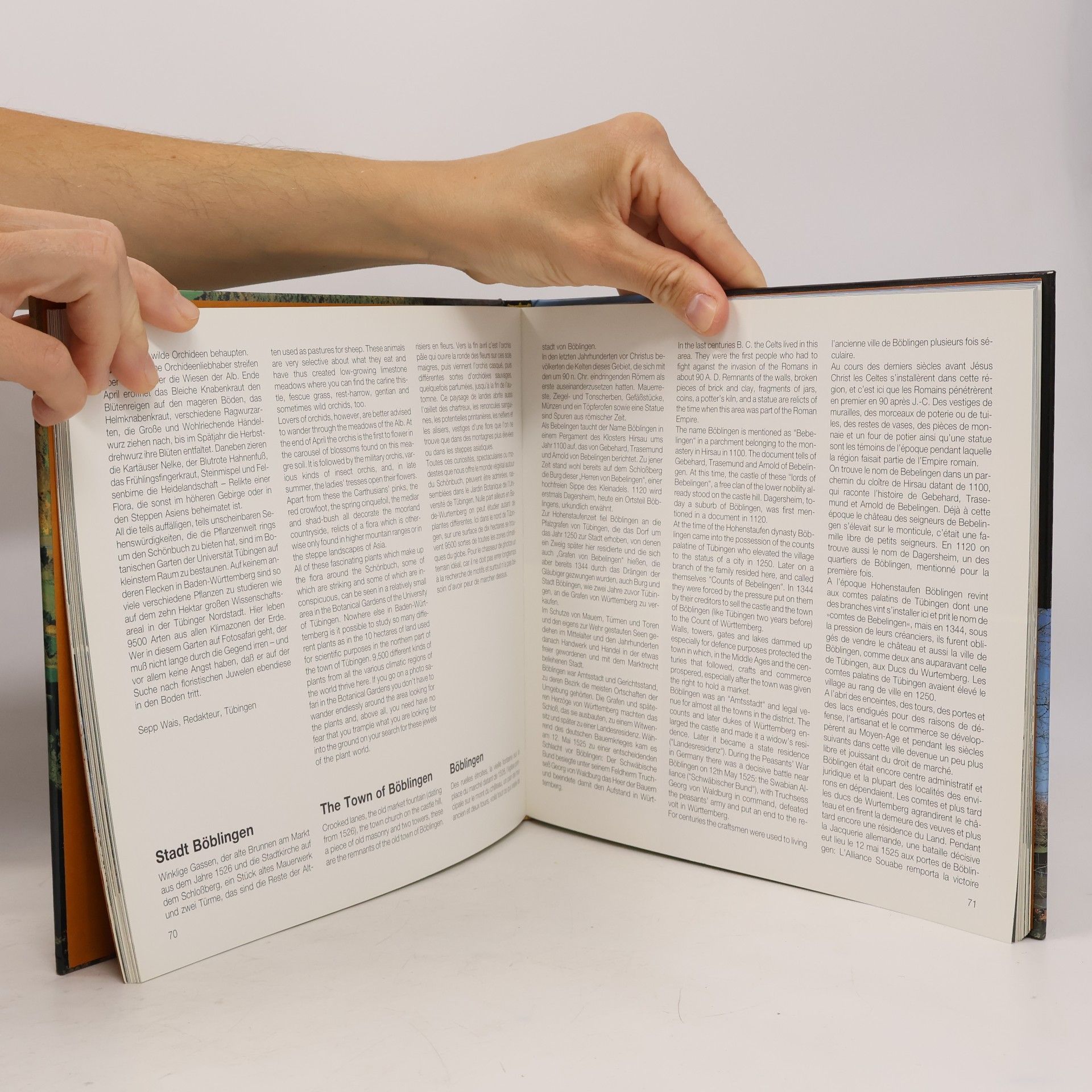 Walter Weller Rund um den Schönbuch