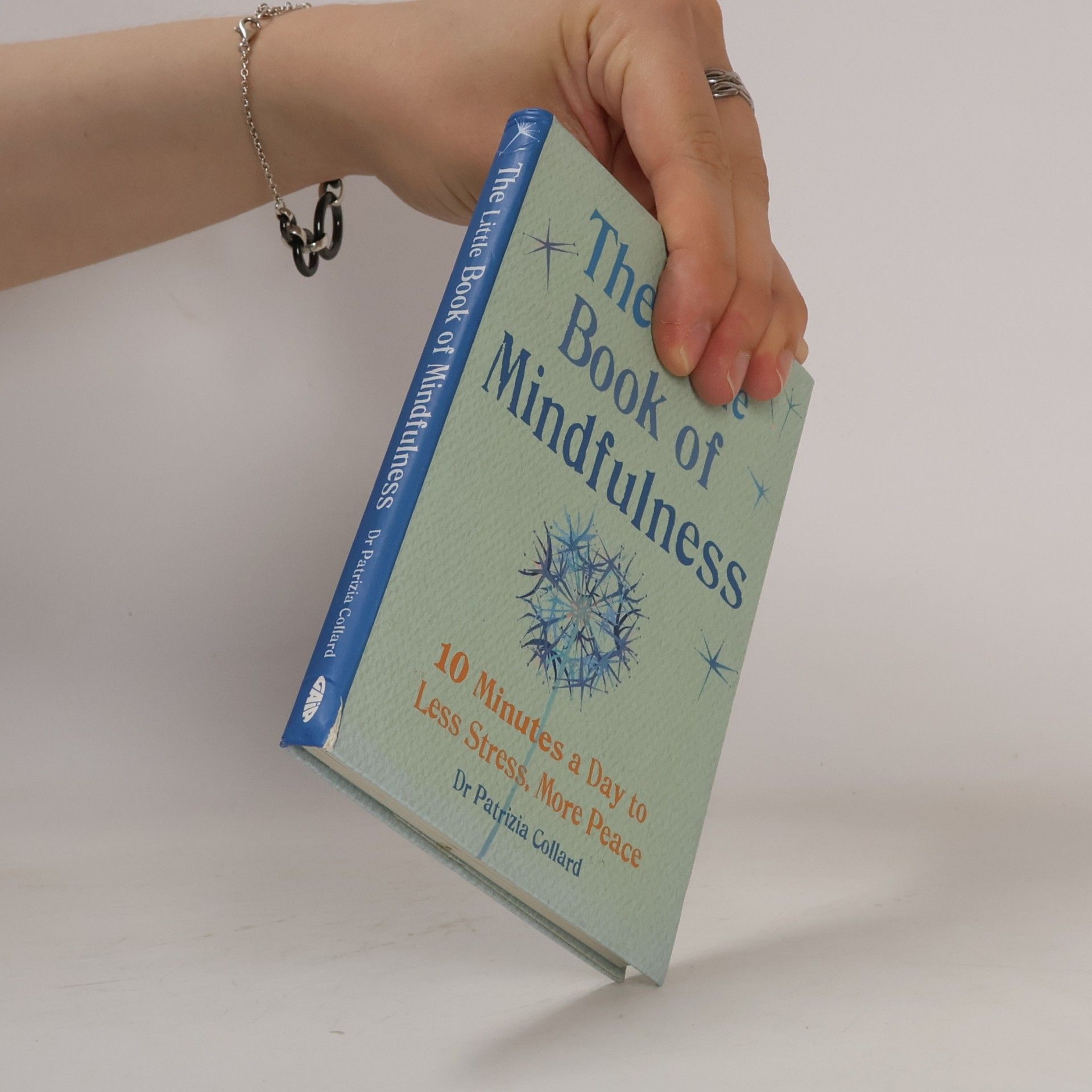 Patrizia Collard The little book of mindfulness
