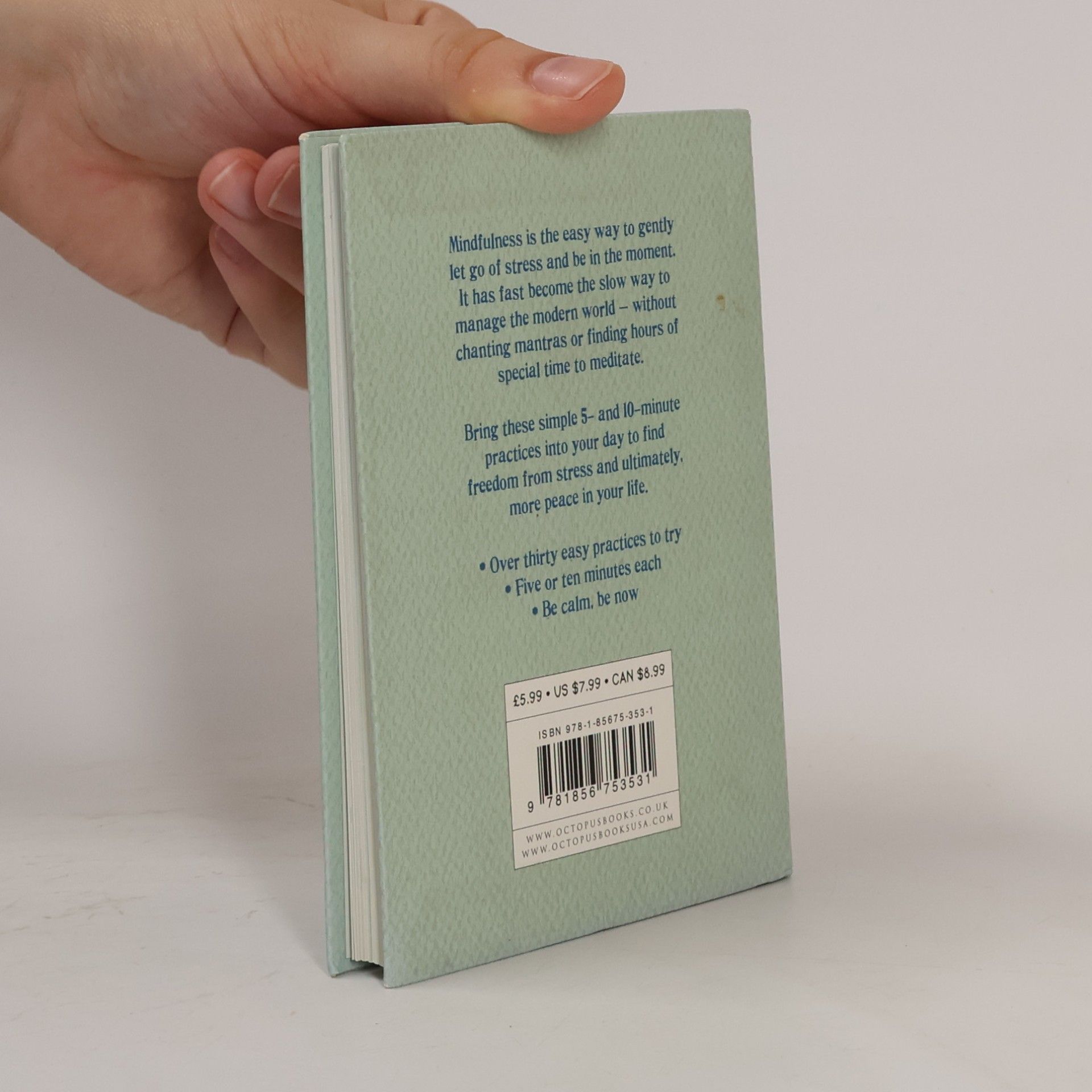 Patrizia Collard The little book of mindfulness