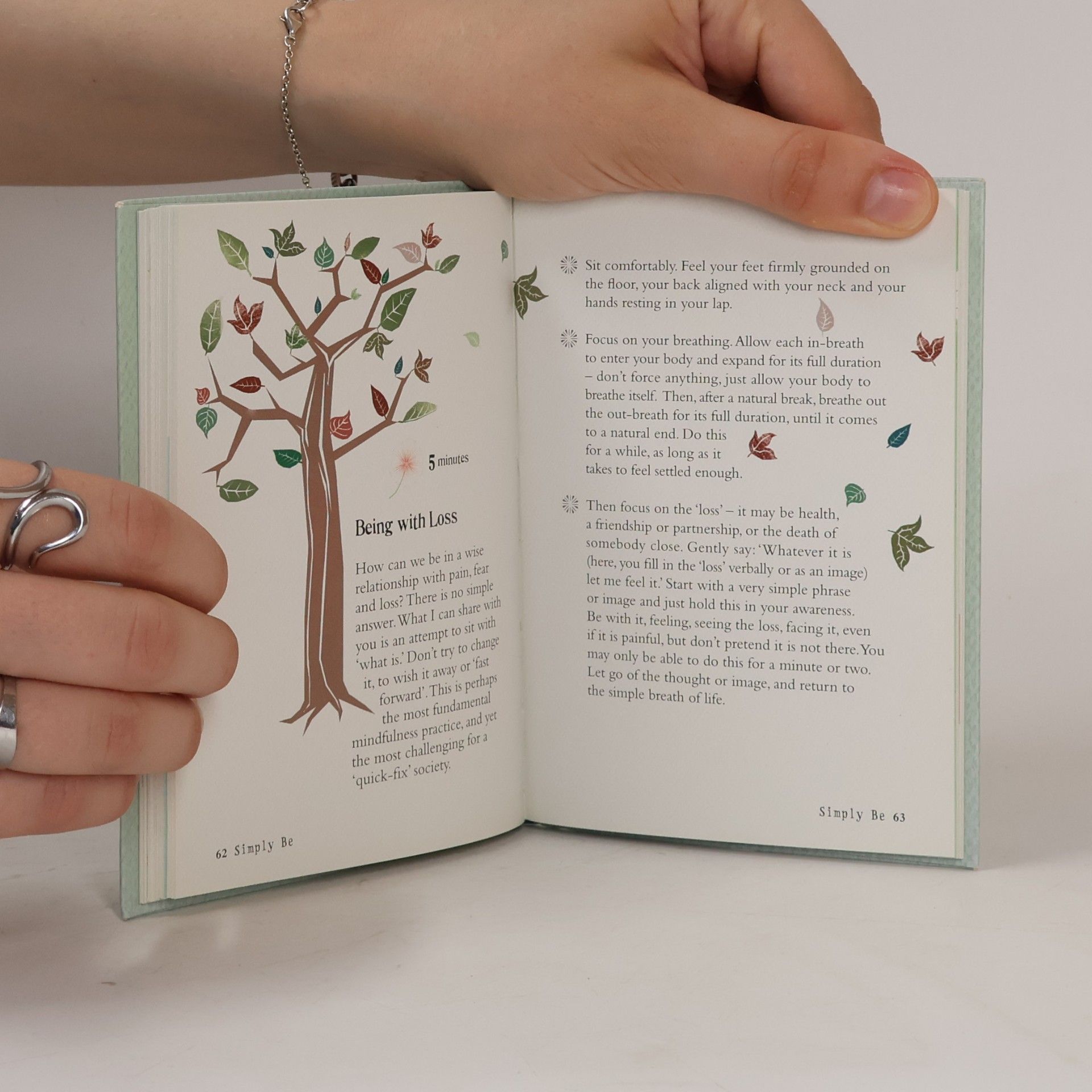 Patrizia Collard The little book of mindfulness