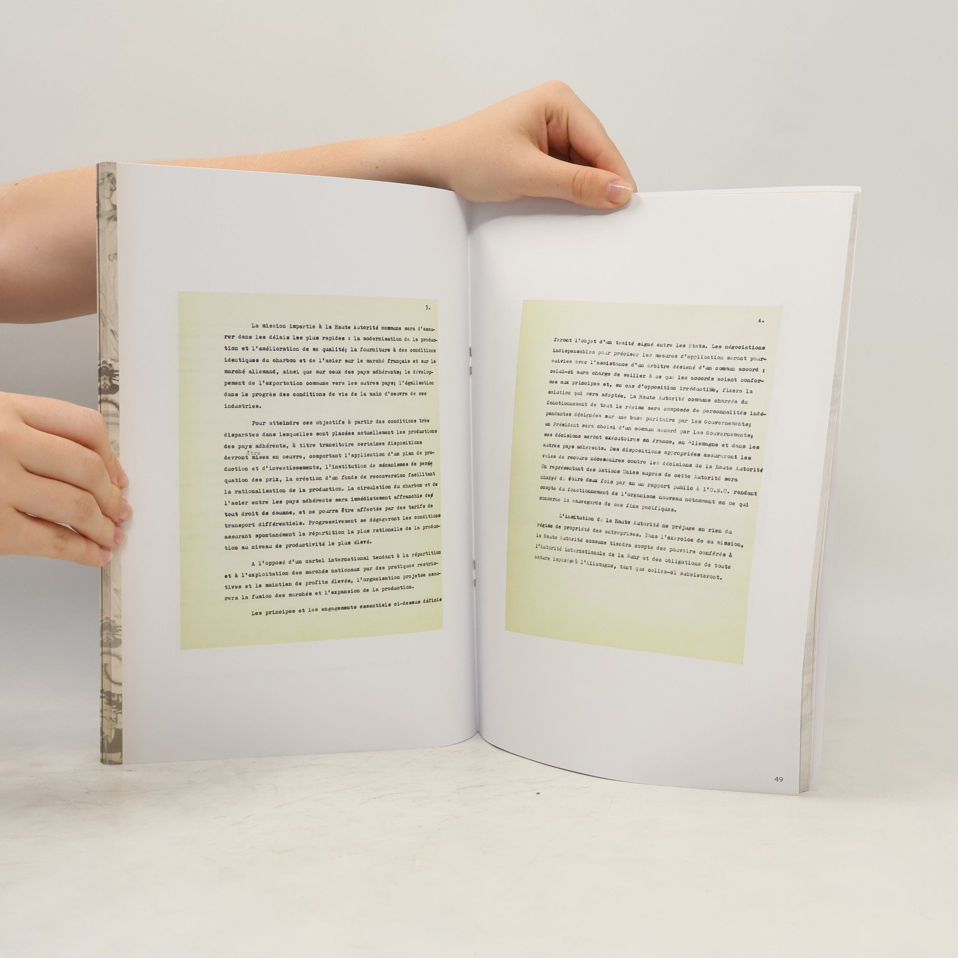 Autorenkollektiv The Schumann Declaration