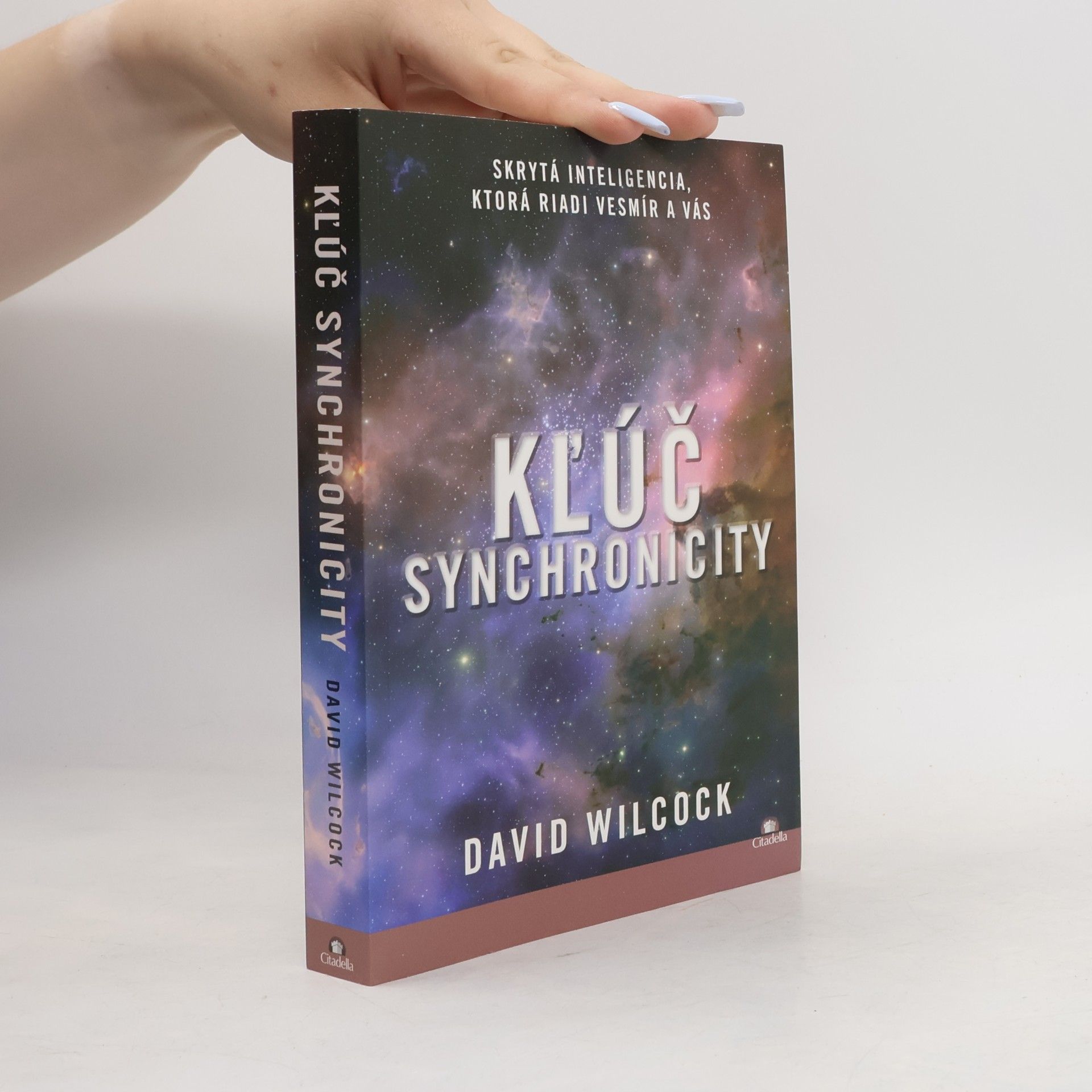 David Wilcock Klúč synchronicity
