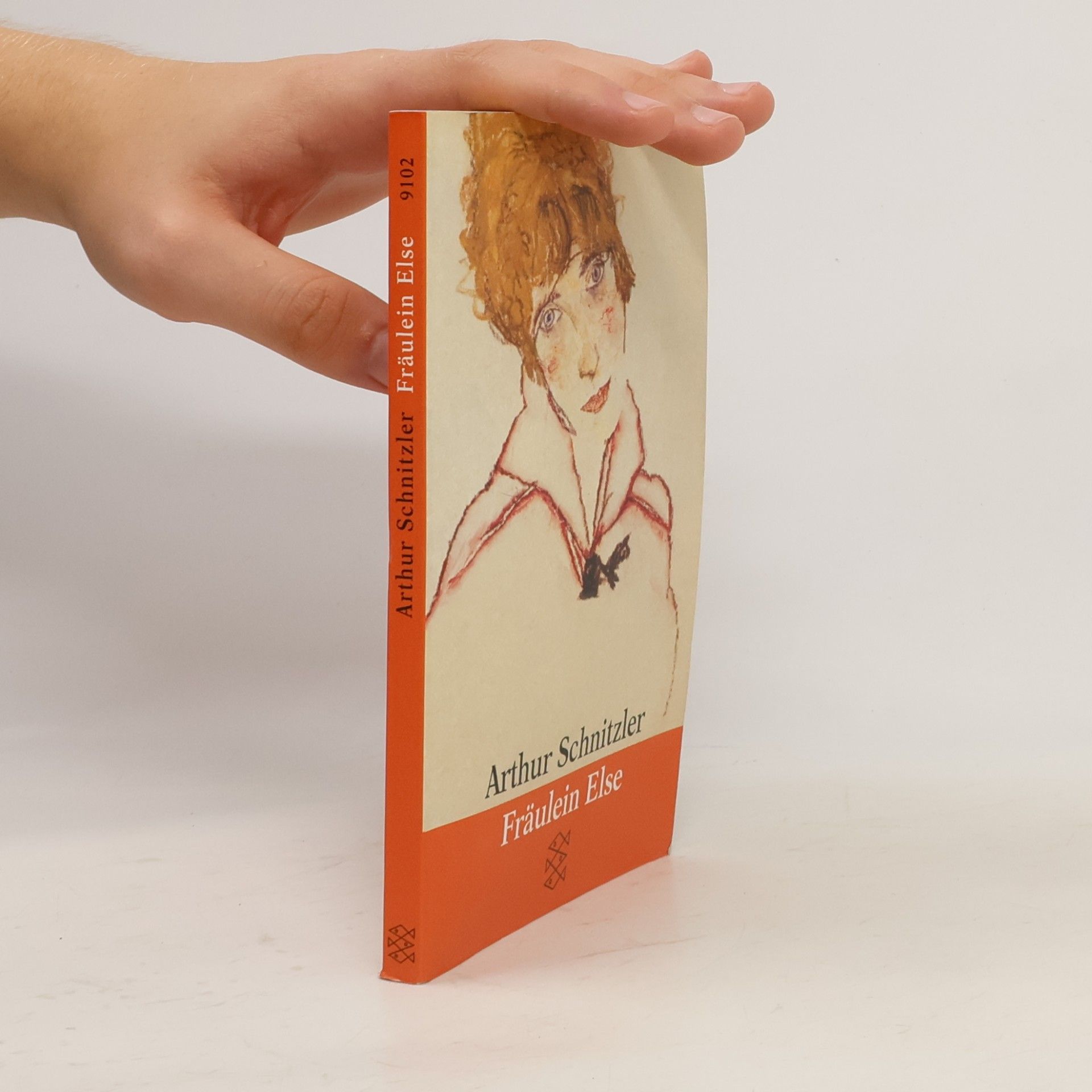 Arthur Schnitzler Fräulein Else und andere Erzählungen