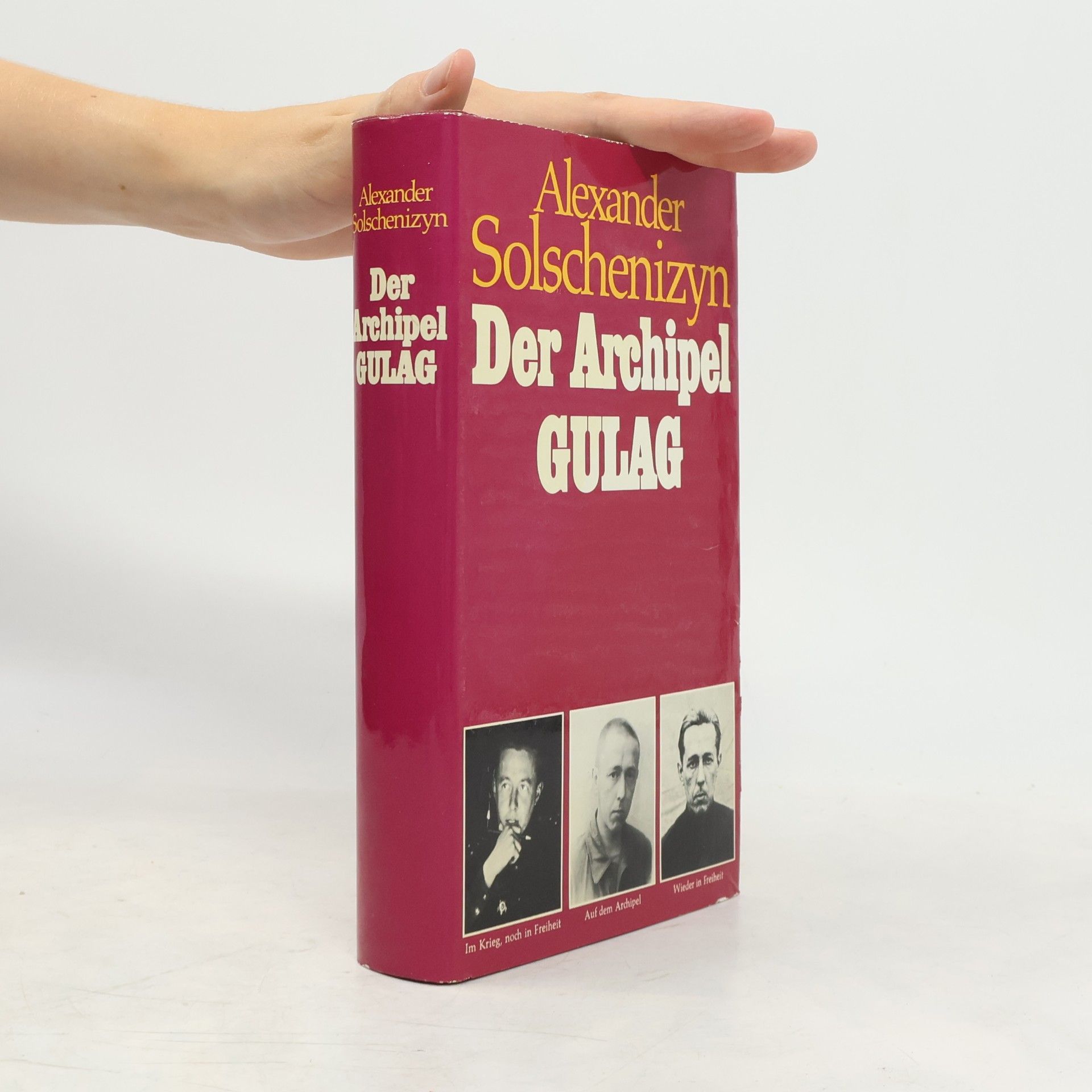 Aleksandr Solzhenitsyn Der Archipel Gulag