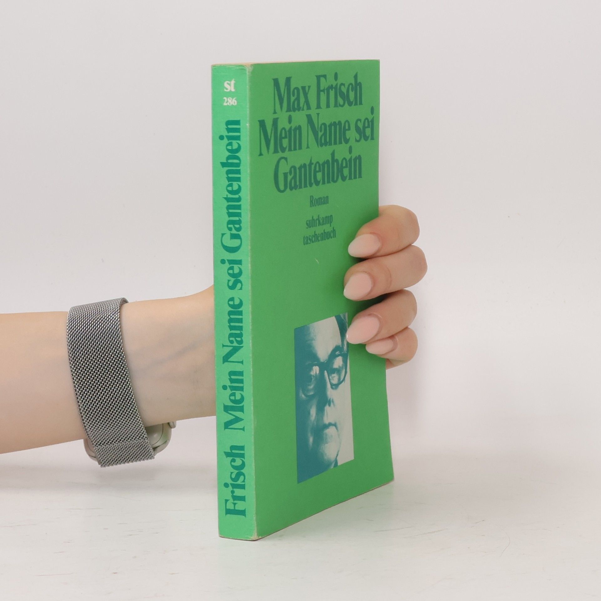 Max Frisch Mein Name sei Gantenbein