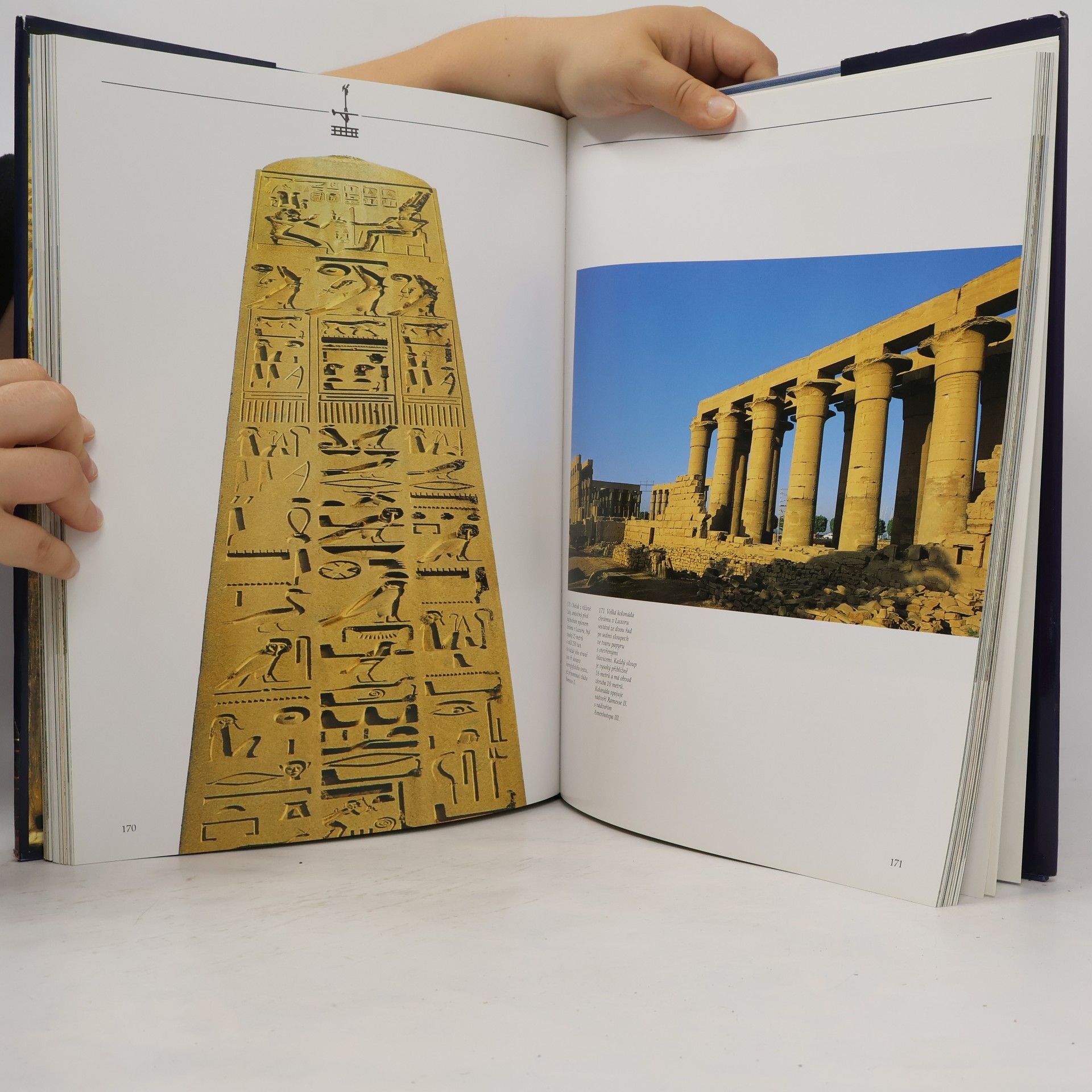 Alberto Siliotti Egypt. Chrámy, bohové a lidé