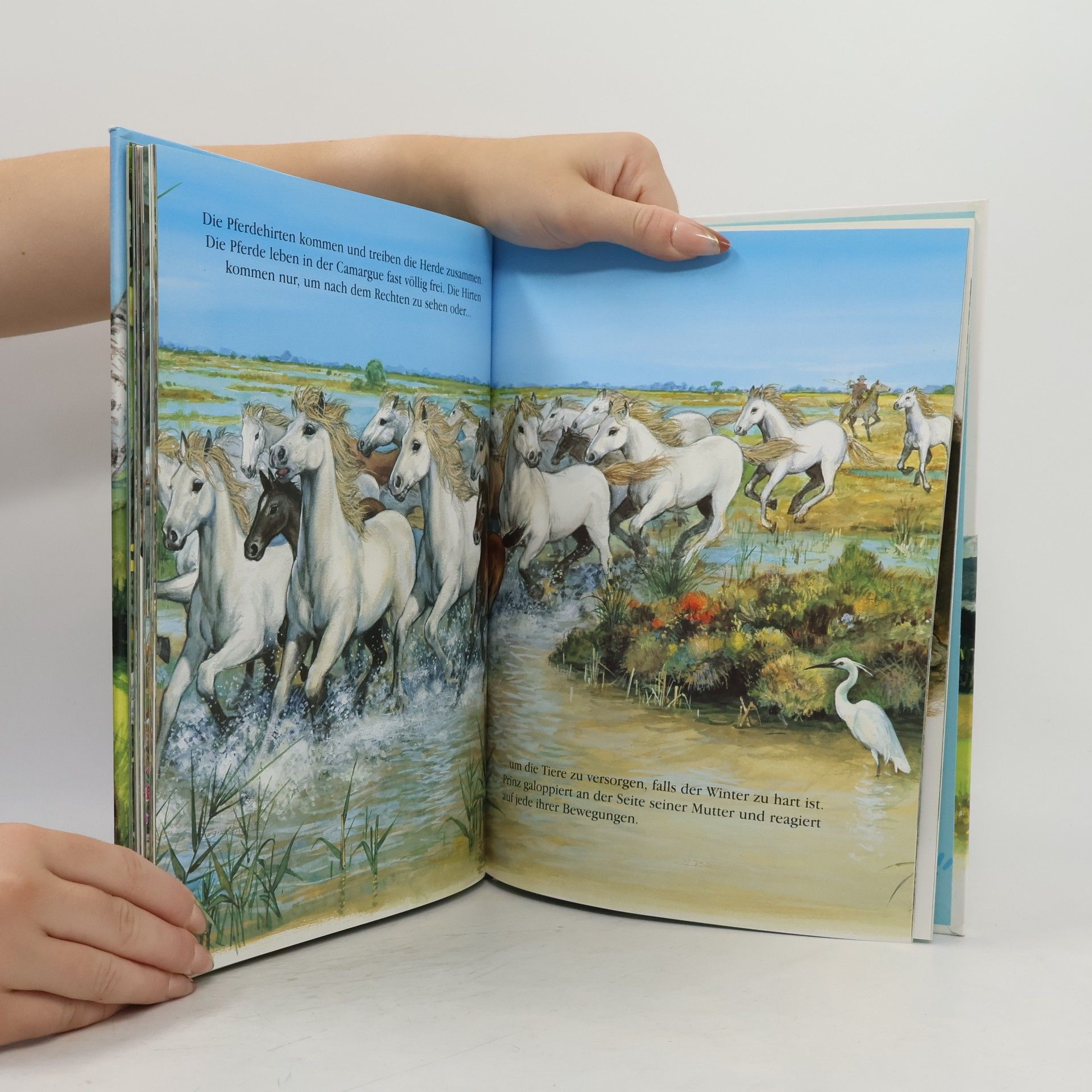 Autorenkollektiv Unsere Tierkinder