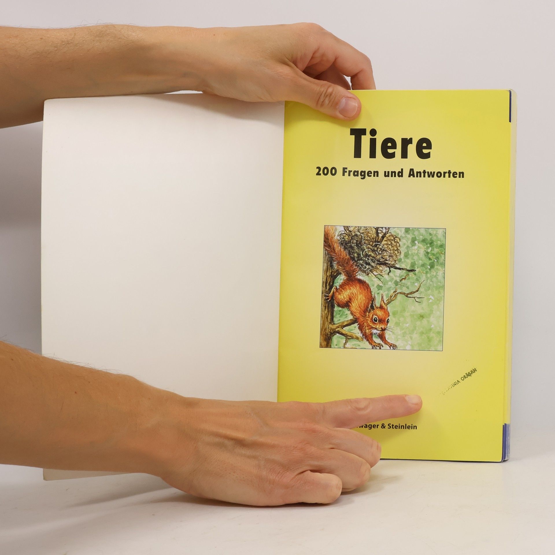 Autorenkollektiv Tiere. 200 Fragen und Antworten