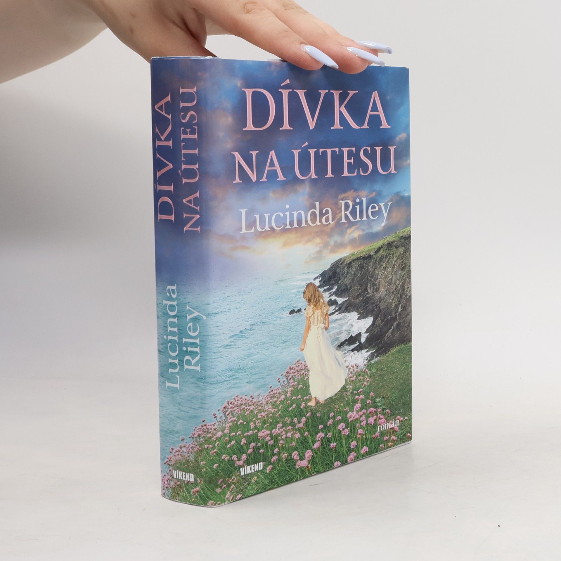 Dívka na útesu