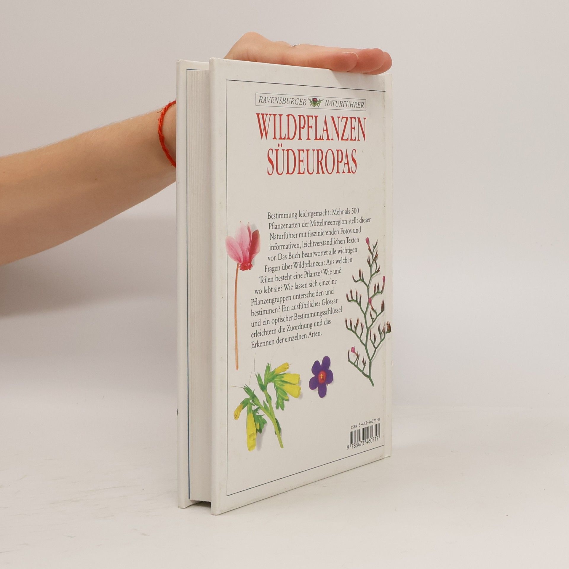David Burnie Wildpflanzen Südeuropas