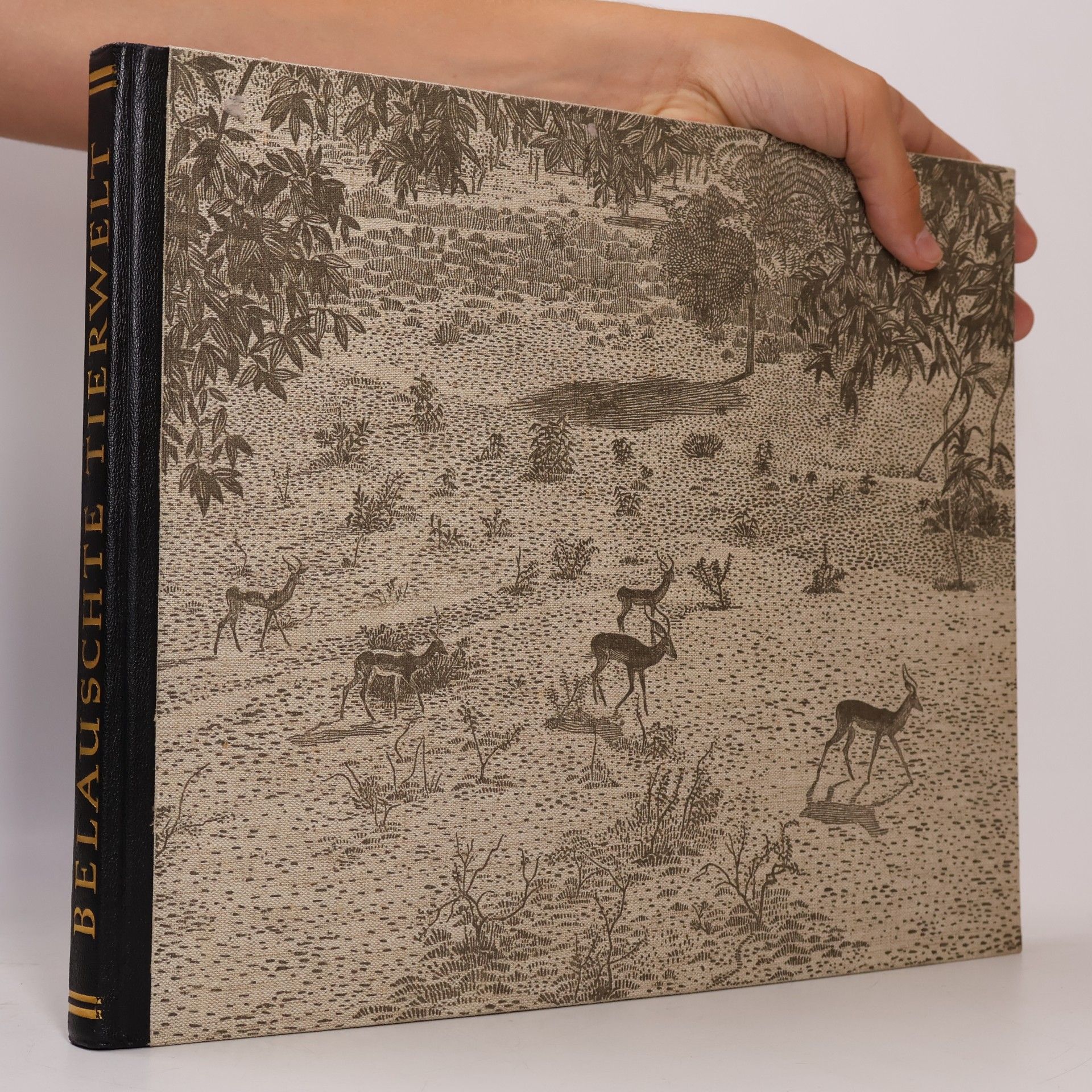 Autorenkollektiv Belauschte Tierwelt