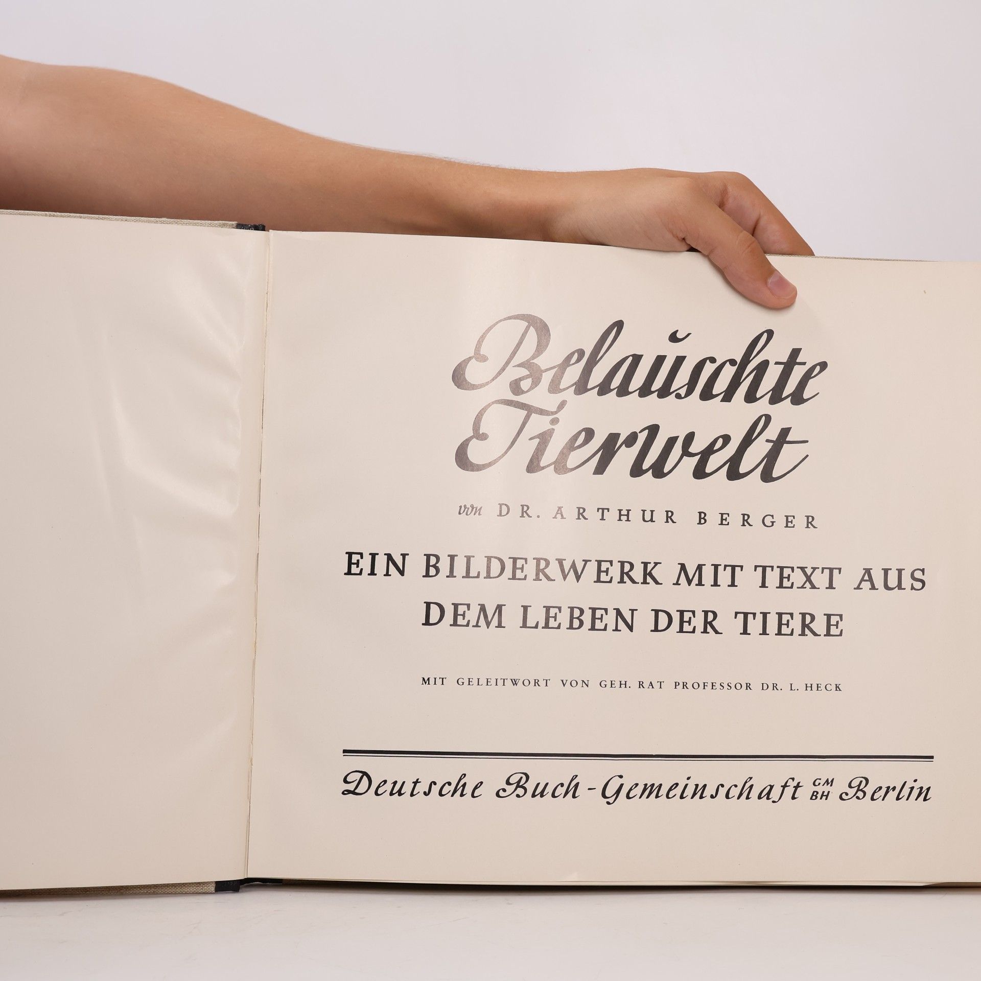 Autorenkollektiv Belauschte Tierwelt