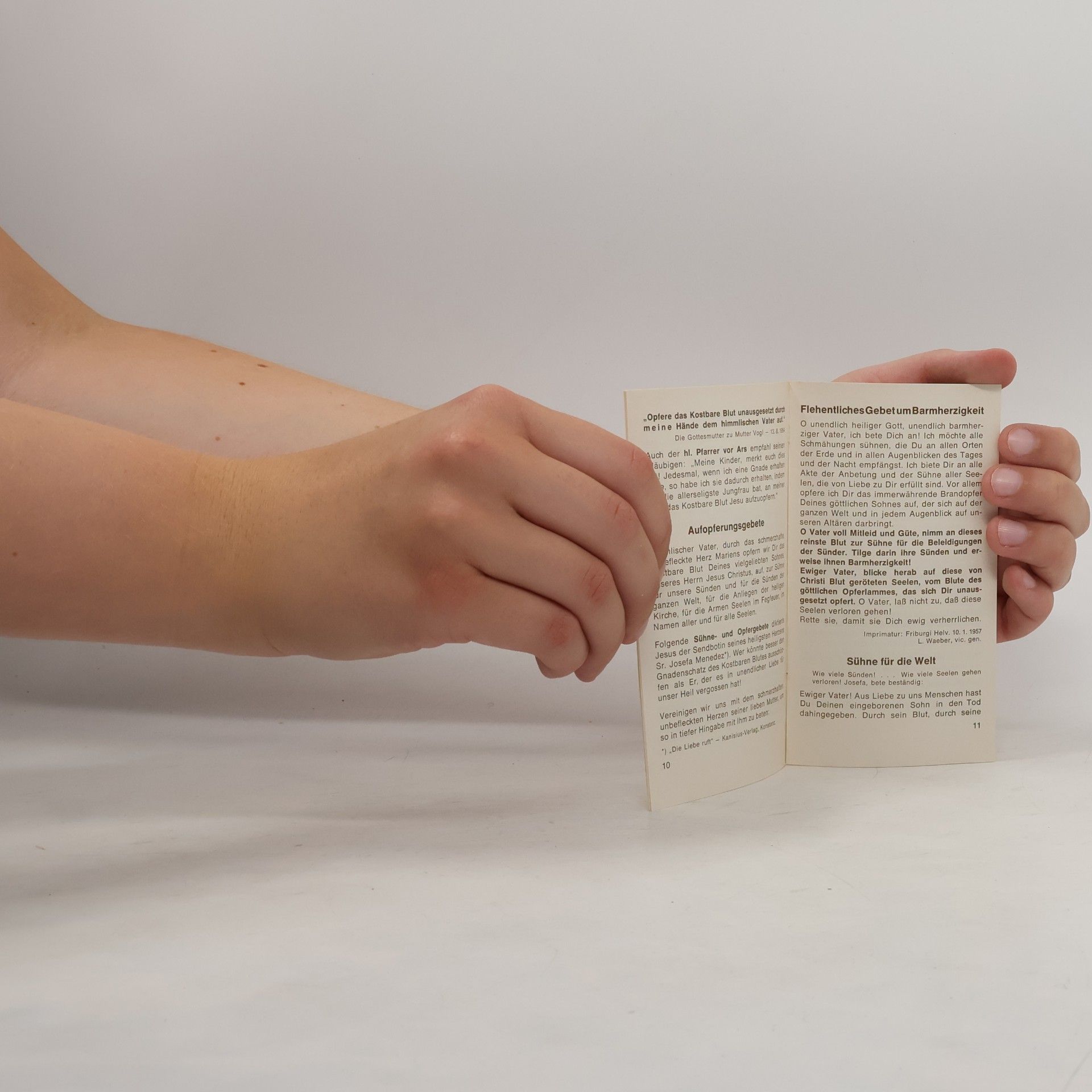 Autorenkollektiv Verehrung des Kostbaren Blutes