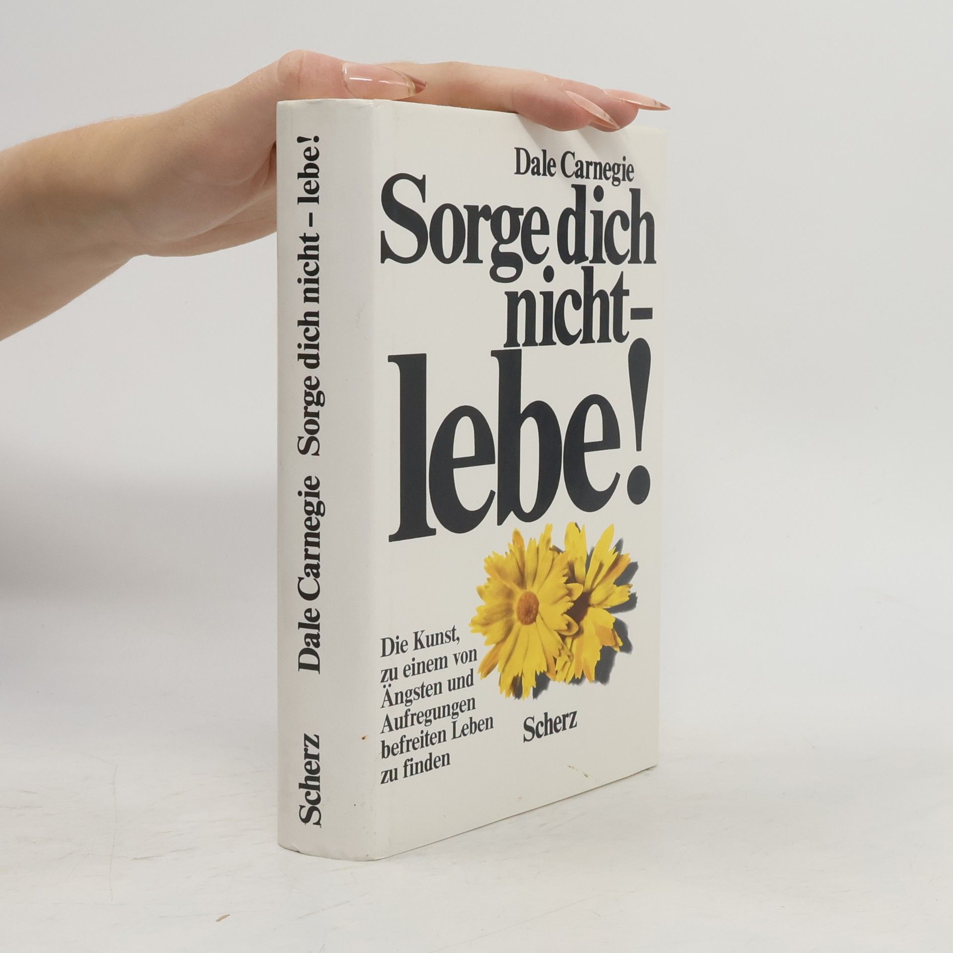 Dale Carnegie Sorge dich nicht - lebe!