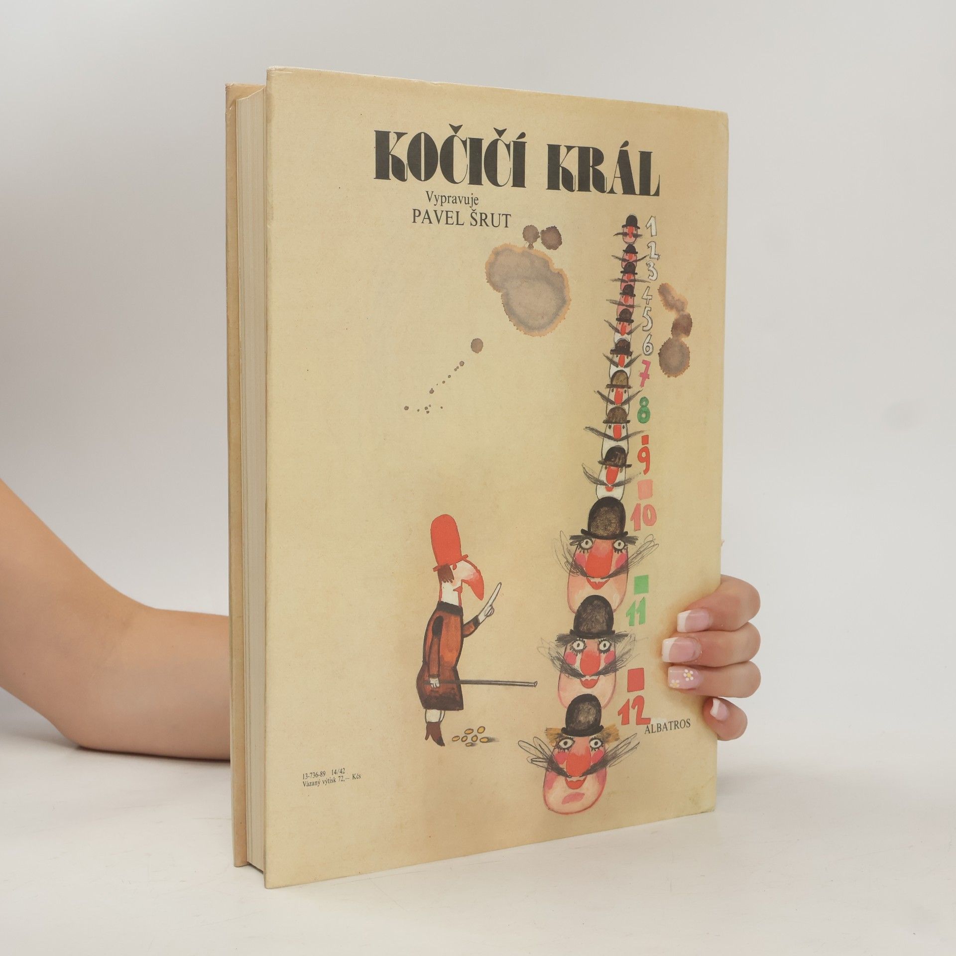 Pavel Šrut Kočičí král