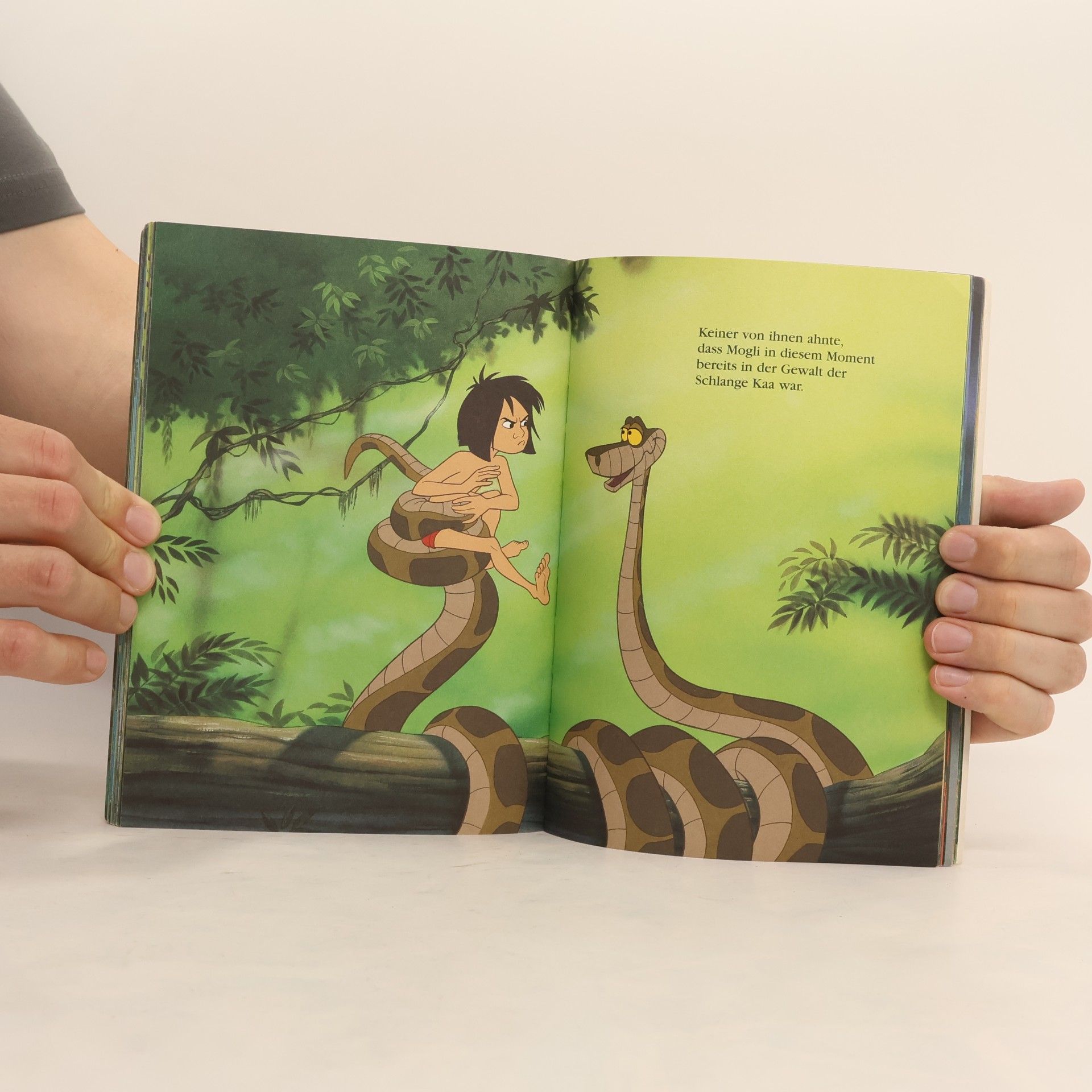 Autorenkollektiv Das Dschungelbuch