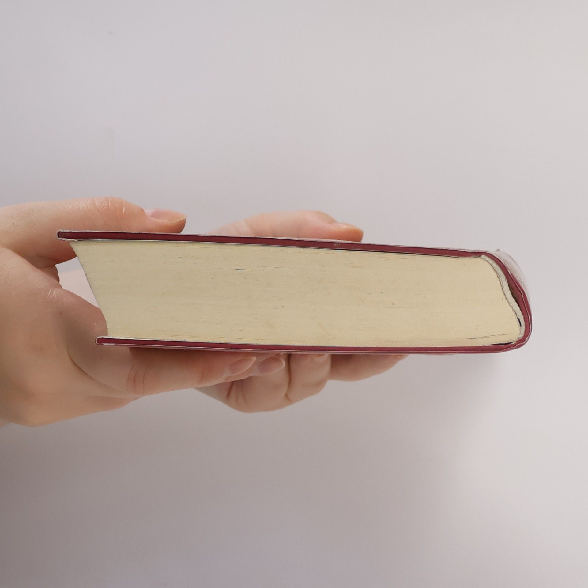 Naomi M. Stokes Die Zedernsängerin