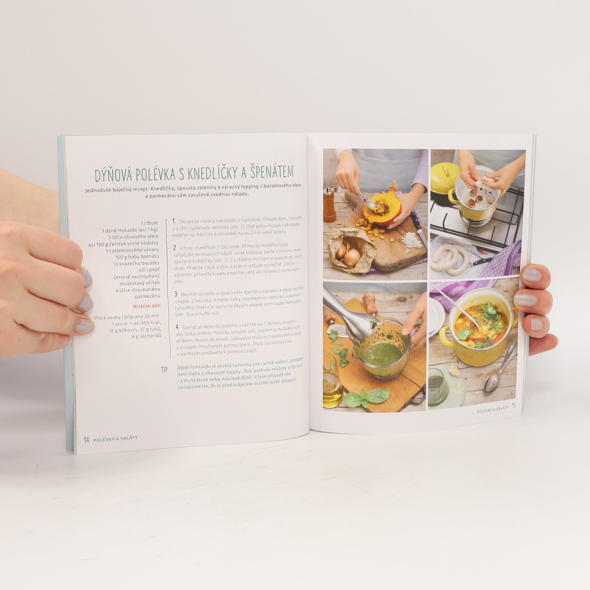 Inga Pfannebecker Rychlé recepty Low Carb