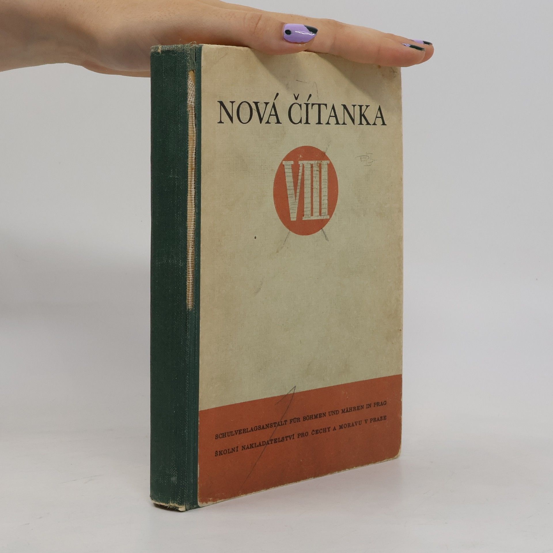 Kolektiv autorů Nová čítanka VIII.