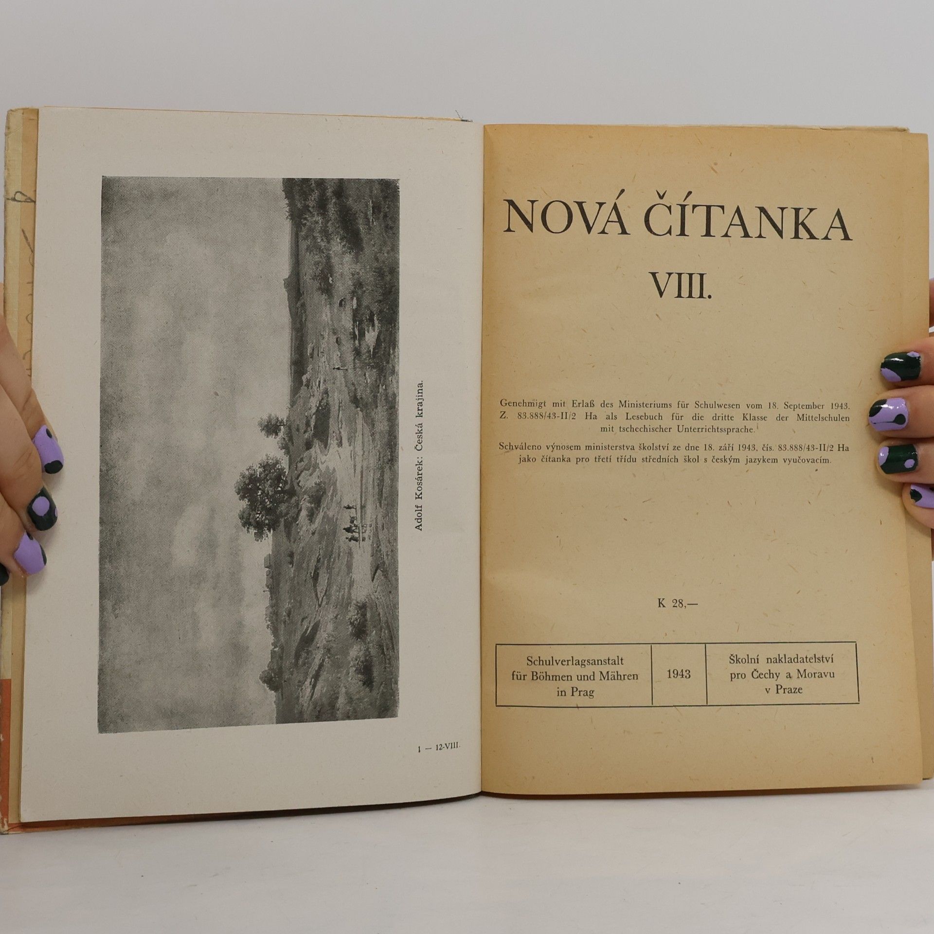 Kolektiv autorů Nová čítanka VIII.
