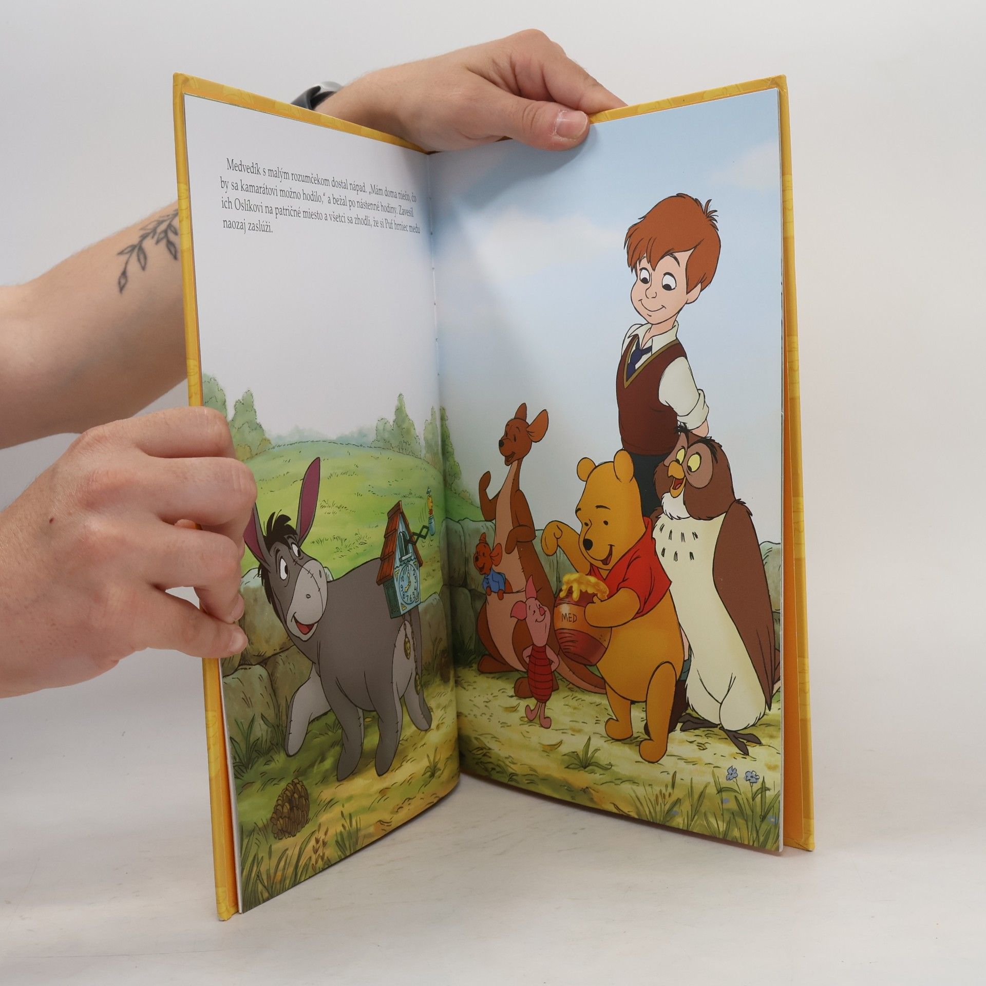 Walt Disney Pokladnica rozprávok - Macko Puf