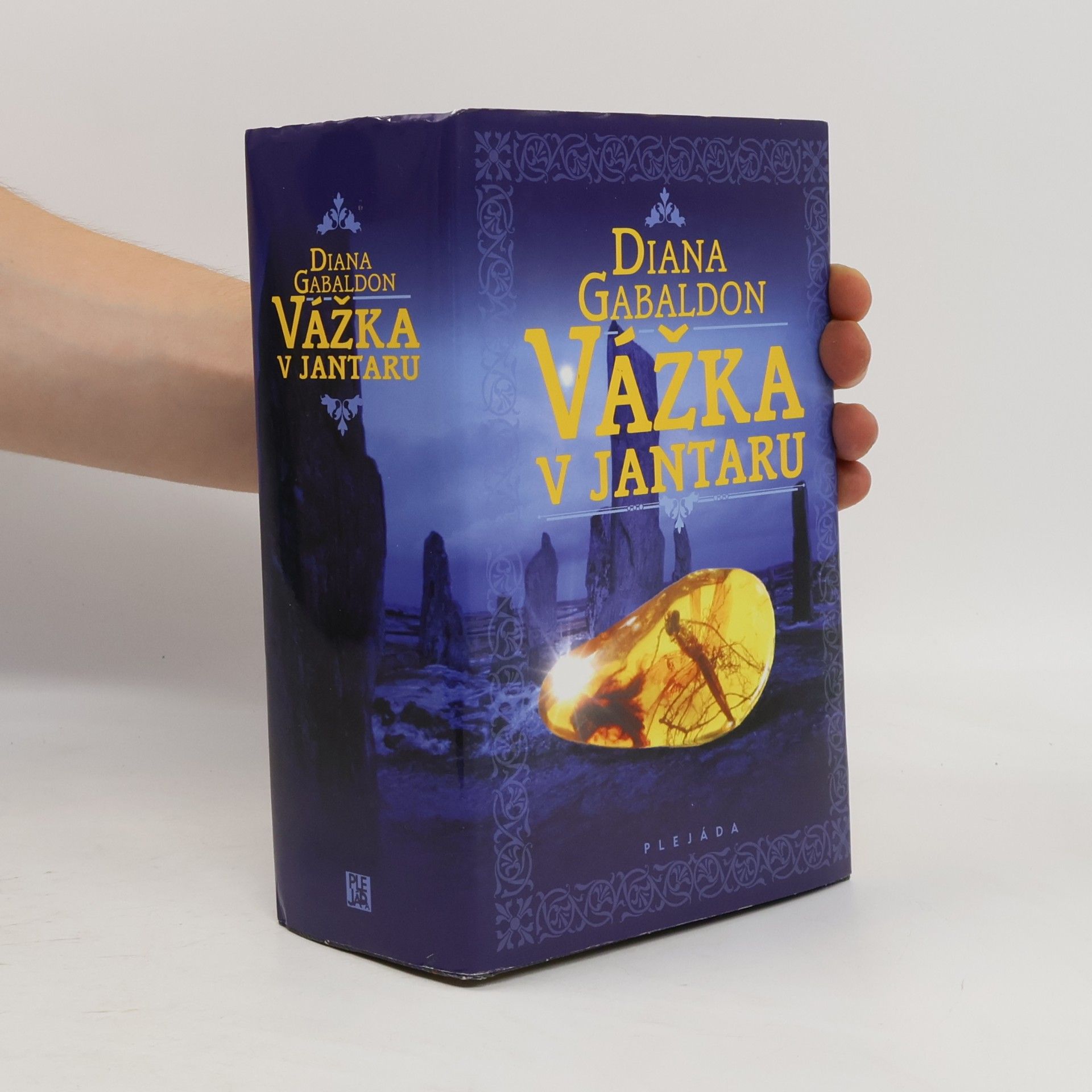 Diana Gabaldon Vážka v jantaru